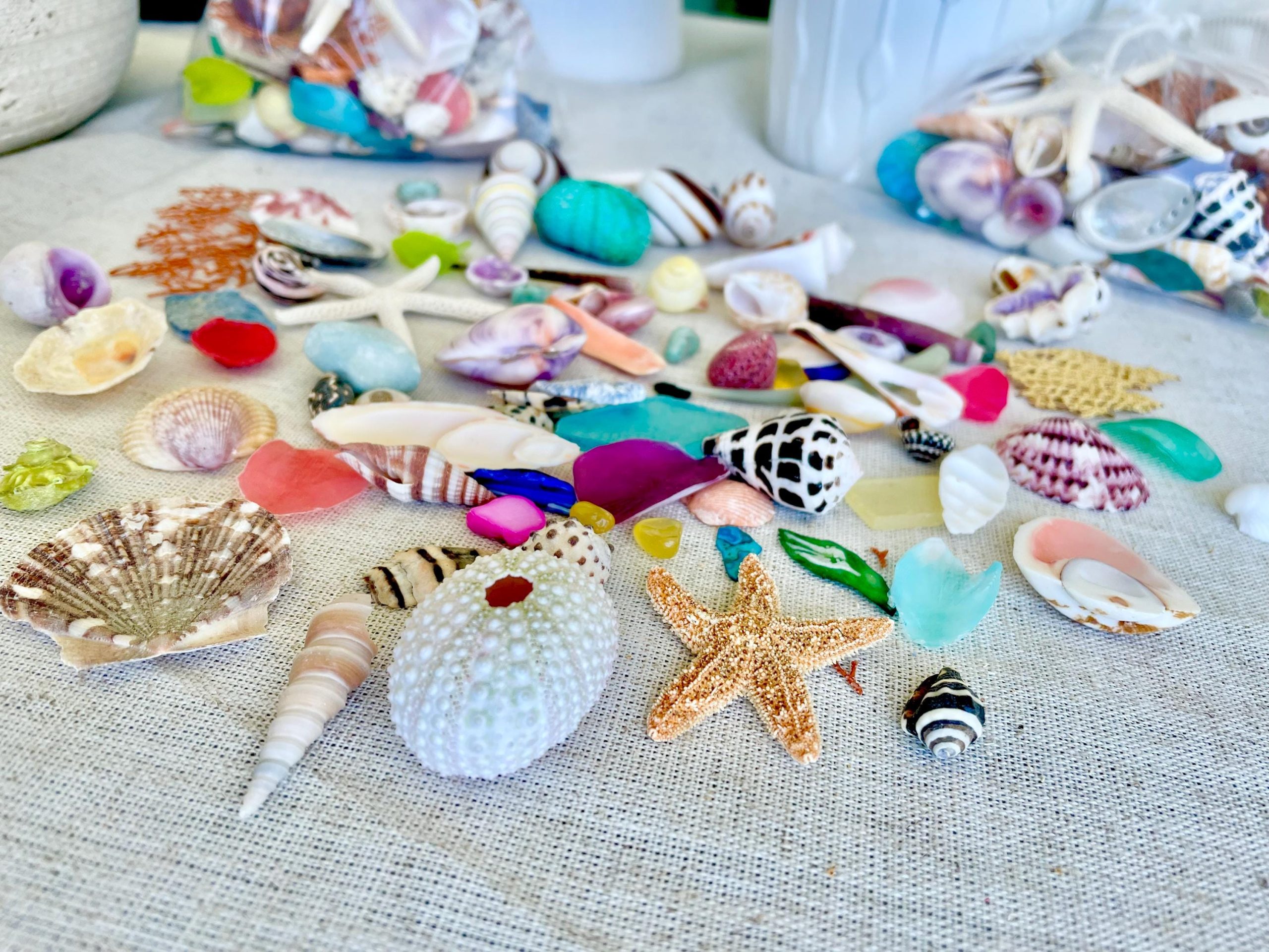 COLORFUL SHELL MIX 85 Pc. 1/4"-2" Seashells, Urchins, Sea Glass, Starfish, Coastal Small Crafts - Image 6