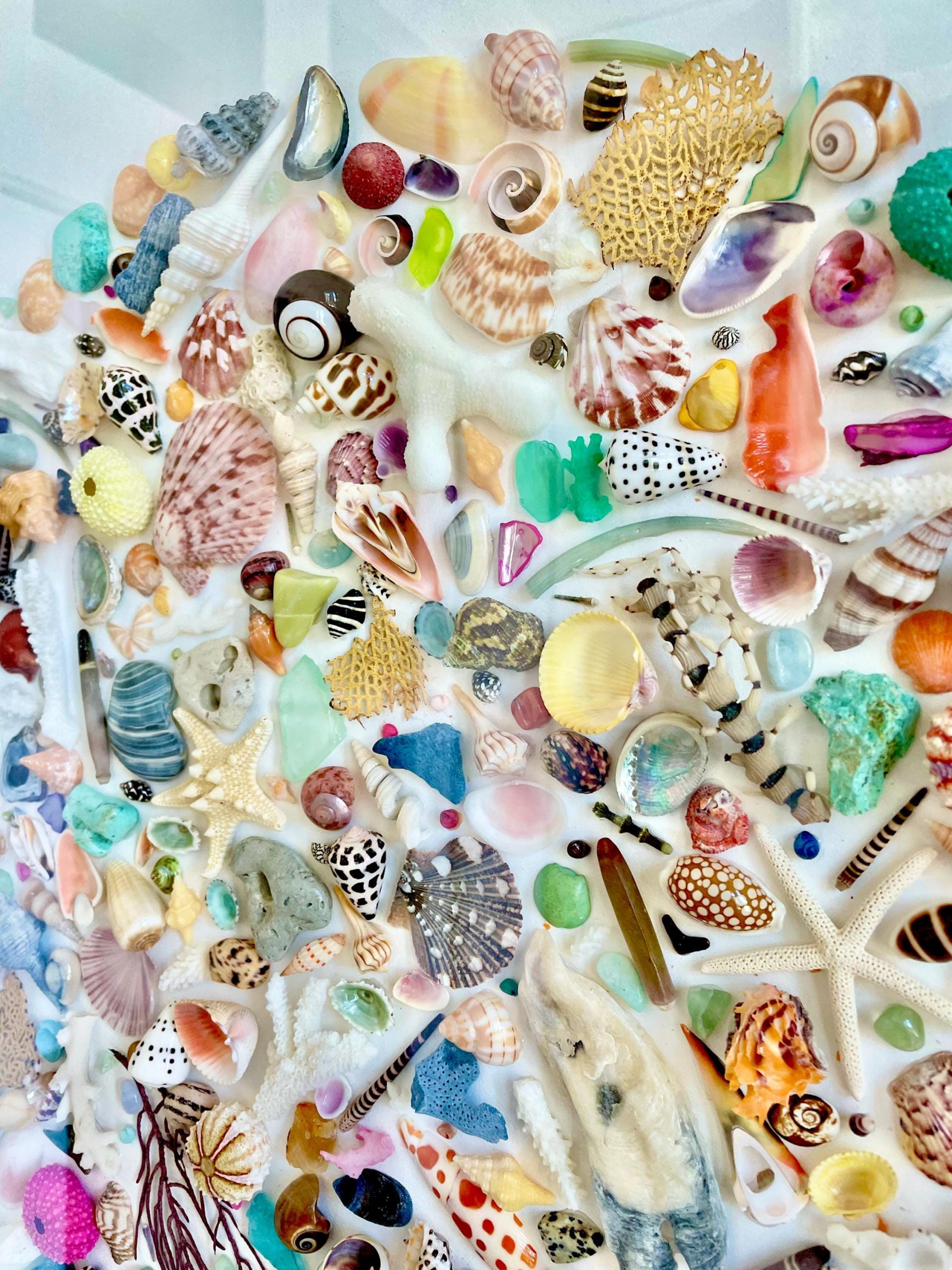 COLORFUL SHELL MIX 85 Pc. 1/4"-2" Seashells, Urchins, Sea Glass, Starfish, Coastal Small Crafts - Image 4