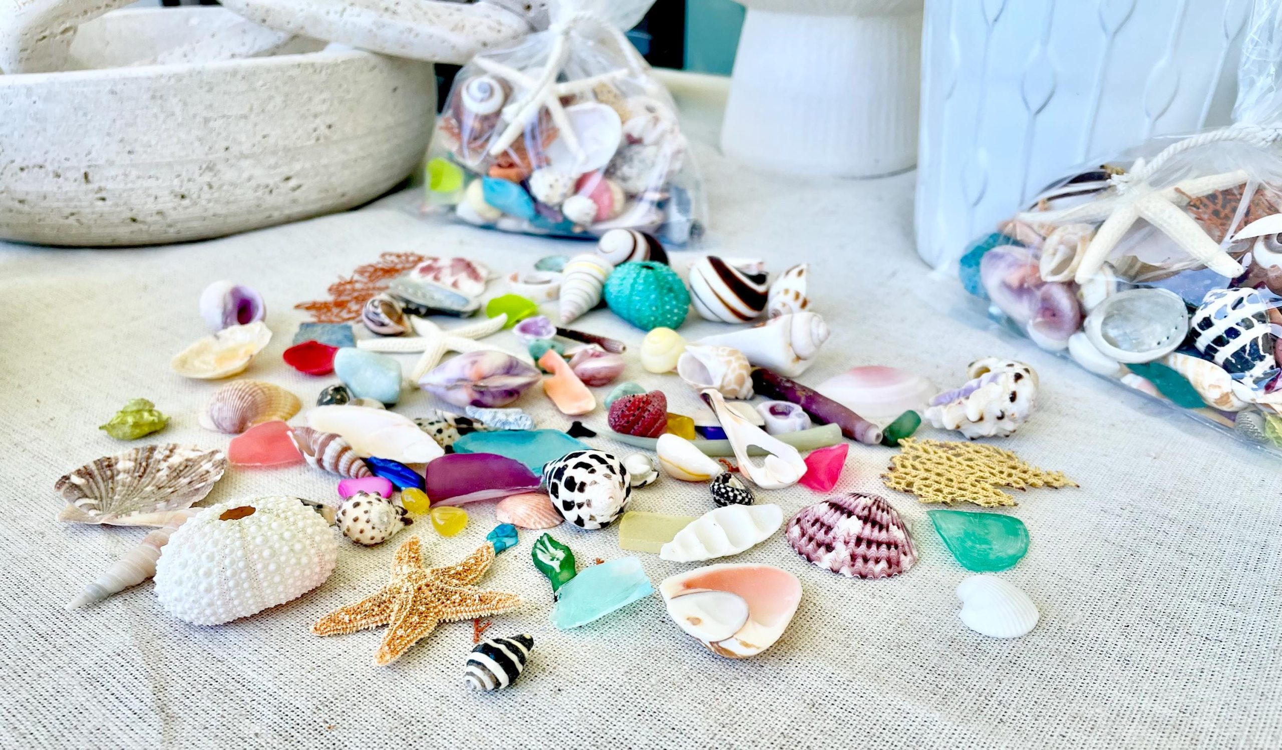COLORFUL SHELL MIX 85 Pc. 1/4"-2" Seashells, Urchins, Sea Glass, Starfish, Coastal Small Crafts - Image 9