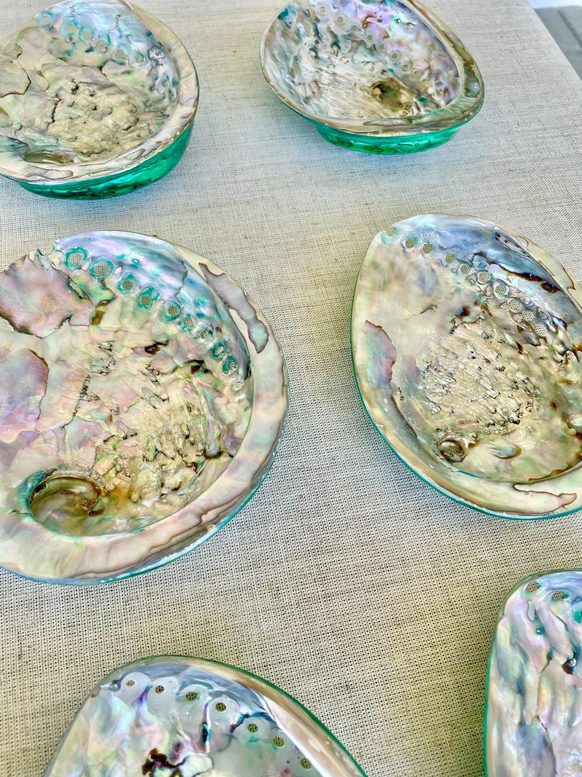 Green Abalone Seashell: XL 5.5-6" Iridescent Coastal Décor, Sage Dish - Image 3