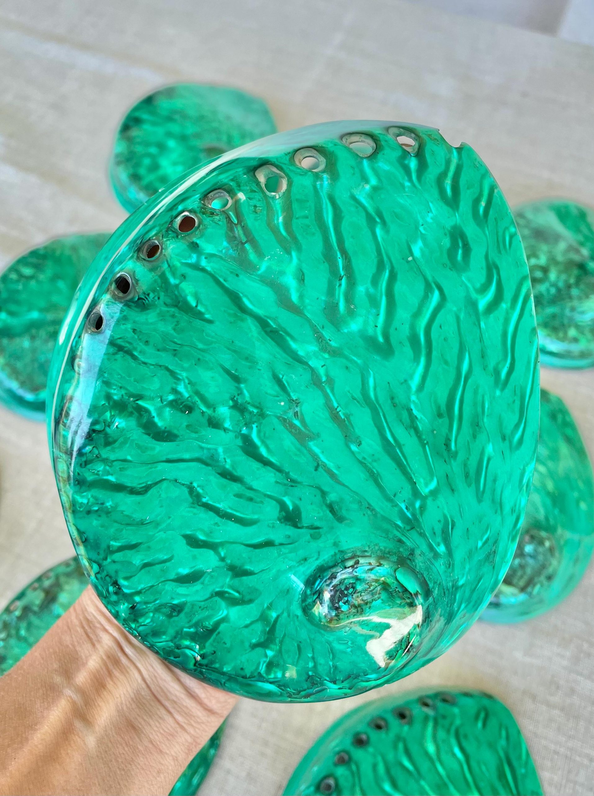 Green Abalone Seashell: XL 5.5-6" Iridescent Coastal Décor, Sage Dish - Image 9