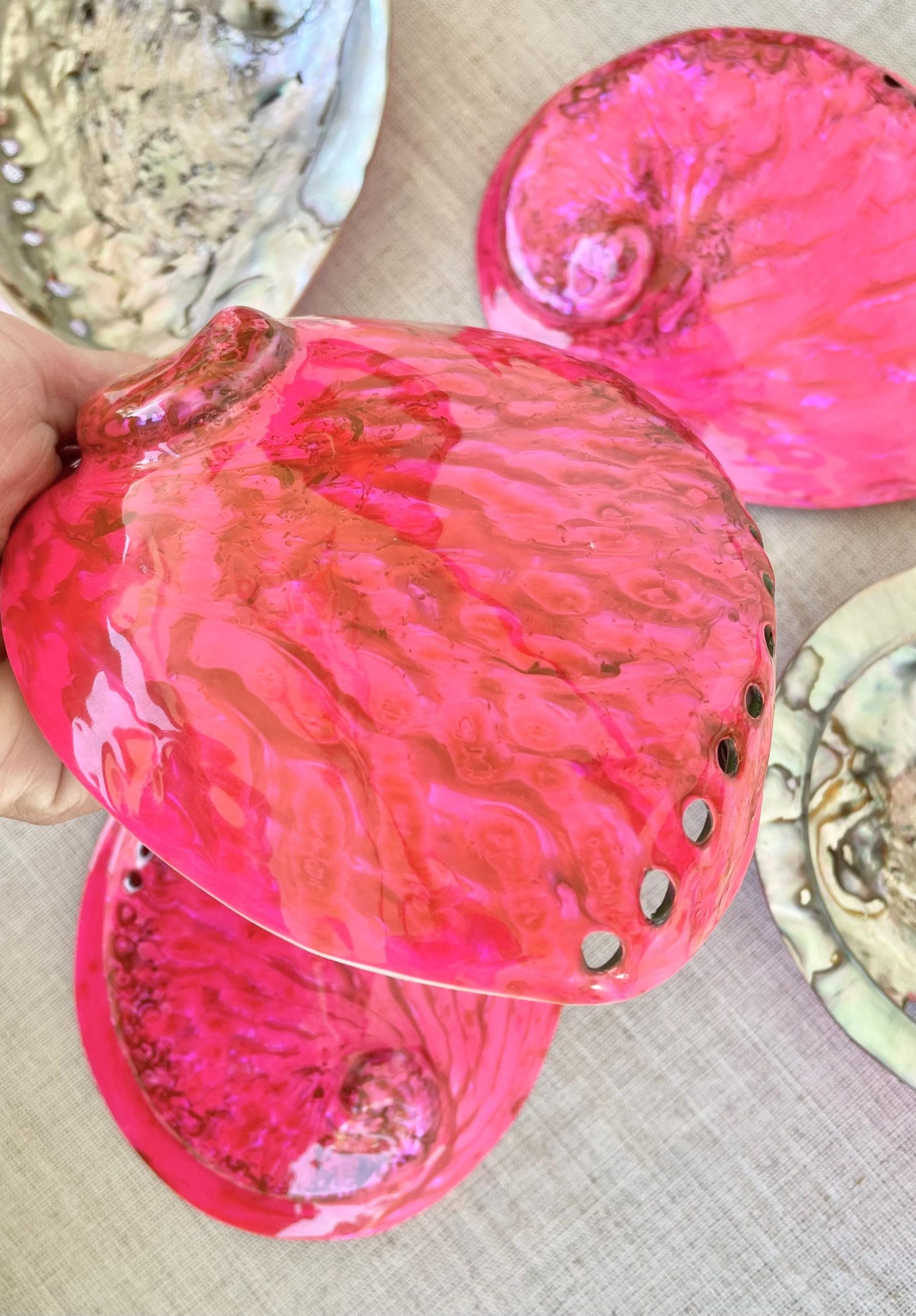 Polished Hot Pink Abalone Shell - Iridescent Coastal Decor (5.5-6") - Image 6