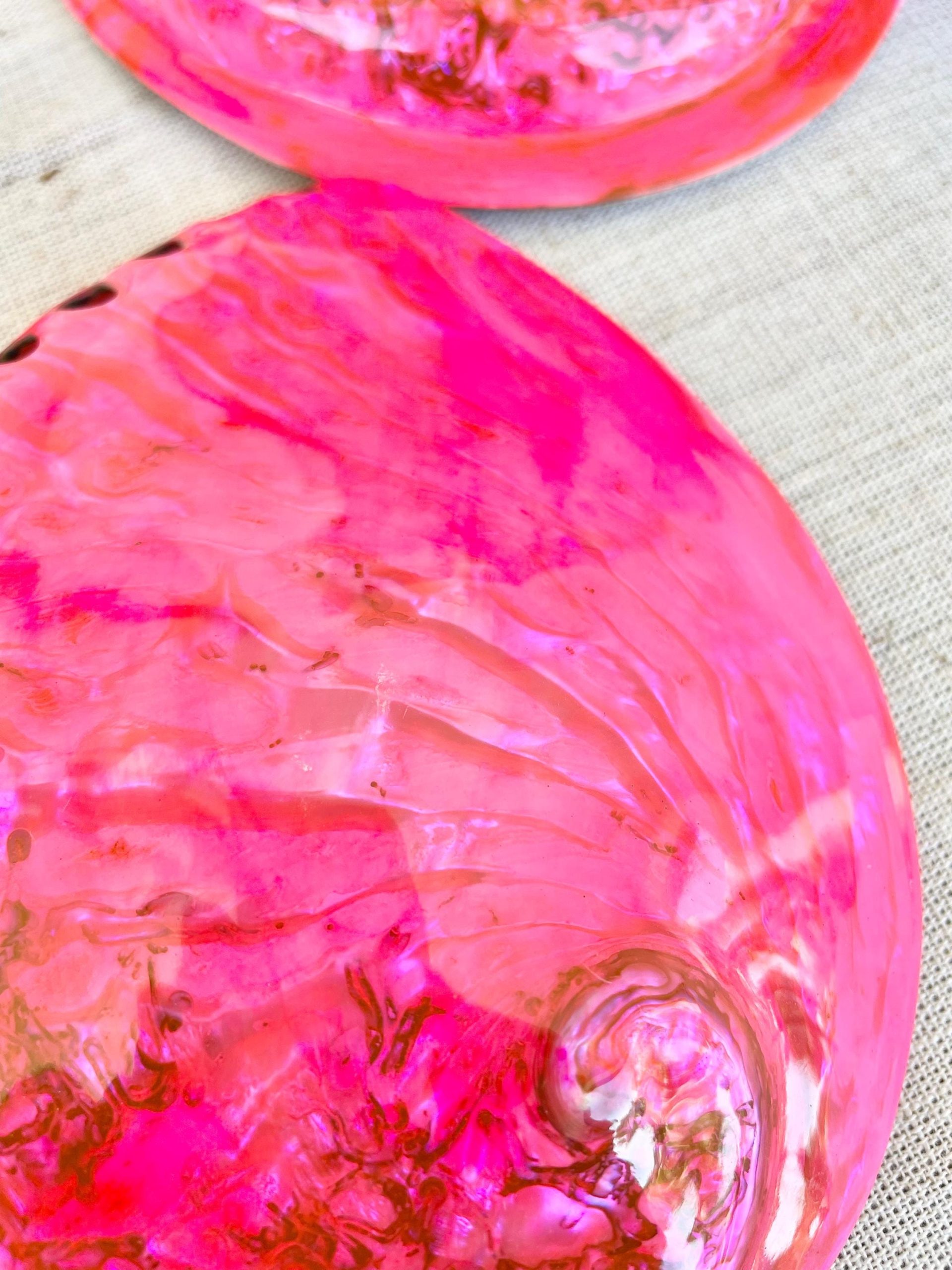 Polished Hot Pink Abalone Shell - Iridescent Coastal Decor (5.5-6") - Image 3