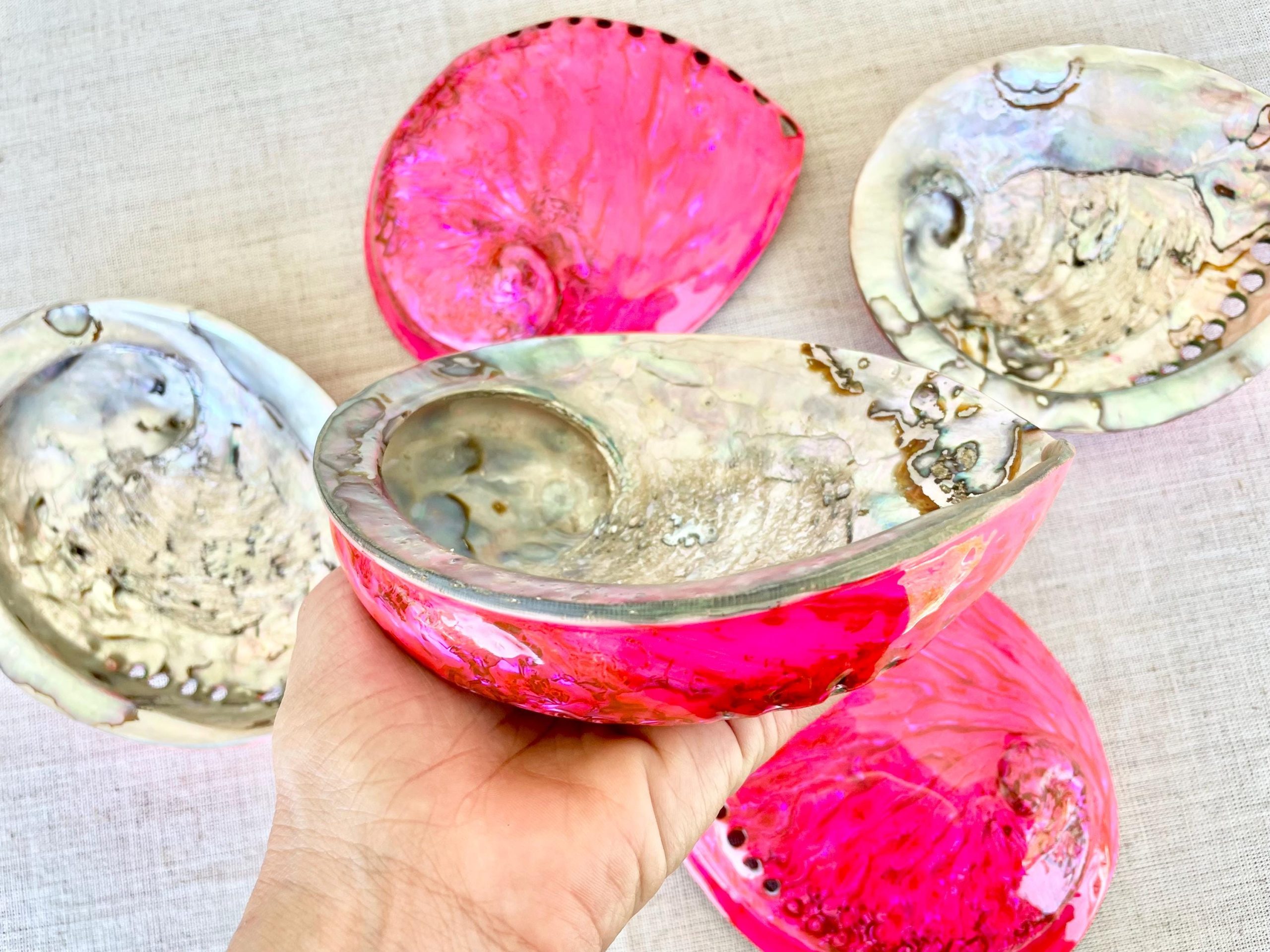 Polished Hot Pink Abalone Shell - Iridescent Coastal Decor (5.5-6") - Image 5