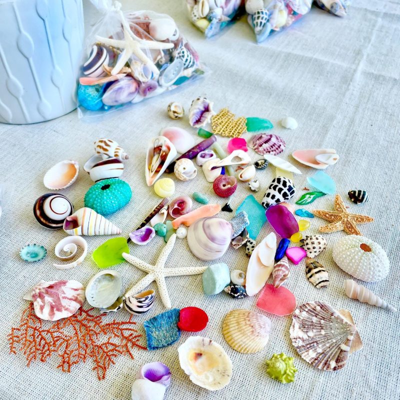 COLORFUL SHELL MIX 85 Pc. 1/4"-2" Seashells, Urchins, Sea Glass, Starfish, Coastal Small Crafts