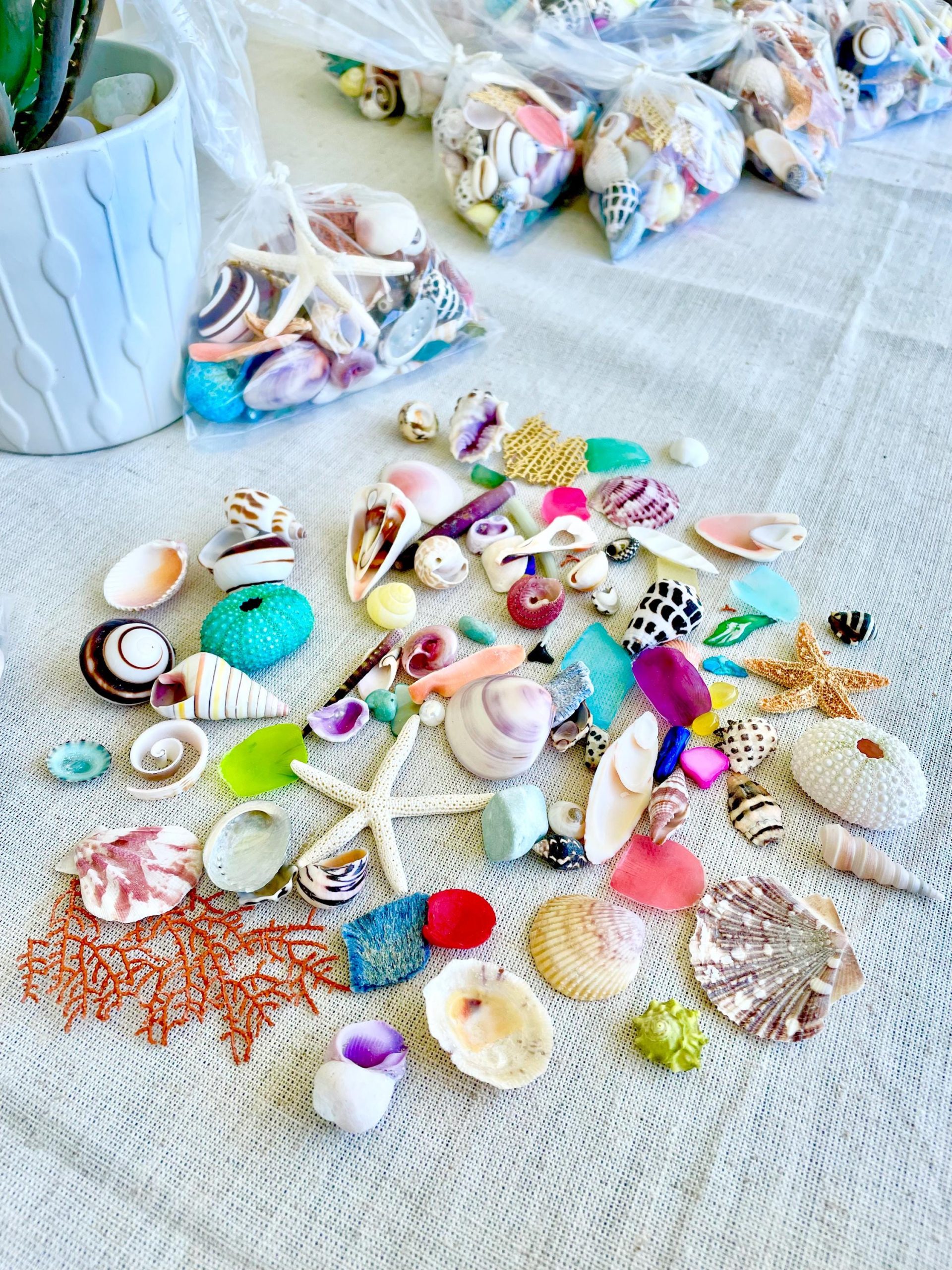 COLORFUL SHELL MIX 85 Pc. 1/4"-2" Seashells, Urchins, Sea Glass, Starfish, Coastal Small Crafts