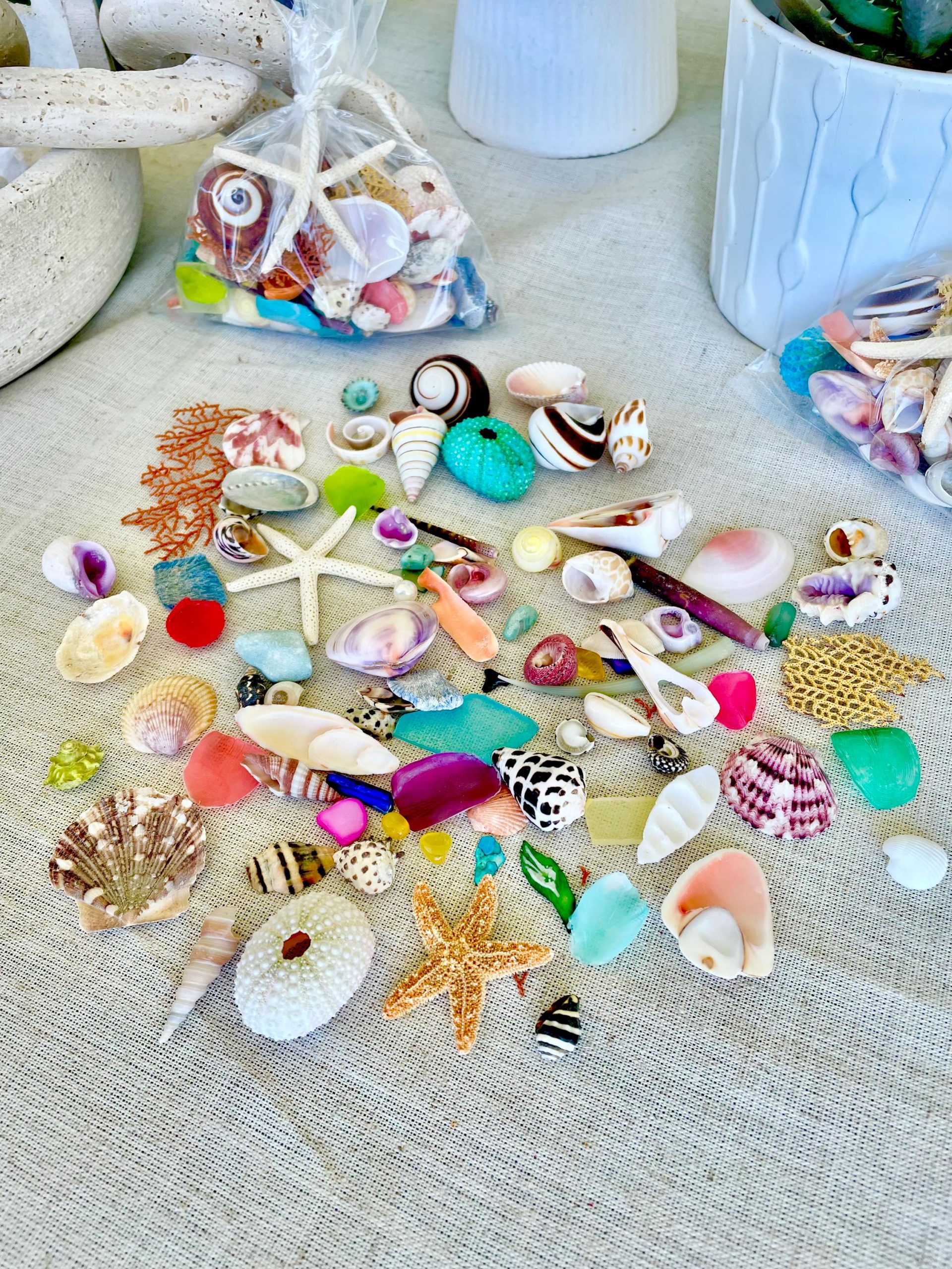 COLORFUL SHELL MIX 85 Pc. 1/4"-2" Seashells, Urchins, Sea Glass, Starfish, Coastal Small Crafts - Image 5