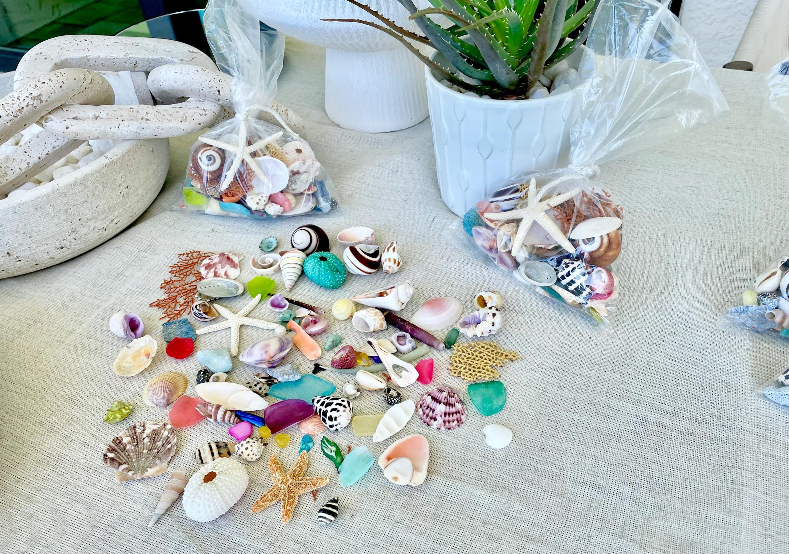 COLORFUL SHELL MIX 85 Pc. 1/4"-2" Seashells, Urchins, Sea Glass, Starfish, Coastal Small Crafts - Image 8