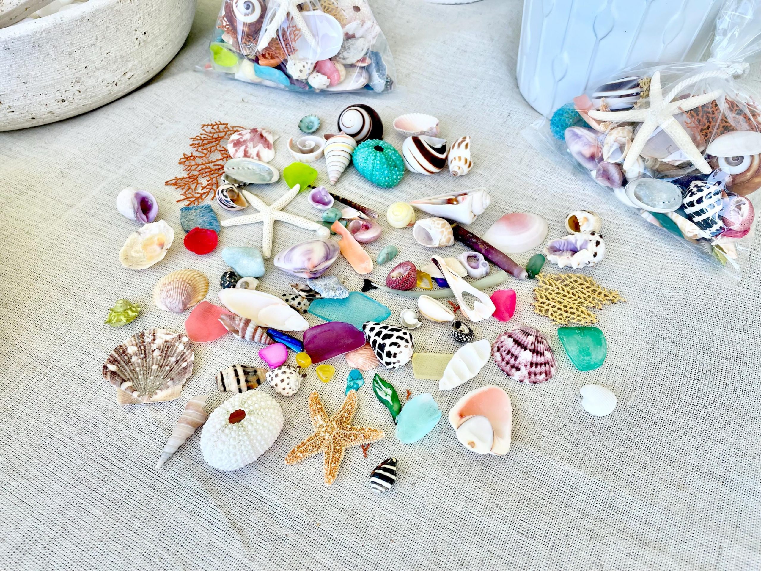 COLORFUL SHELL MIX 85 Pc. 1/4"-2" Seashells, Urchins, Sea Glass, Starfish, Coastal Small Crafts - Image 10