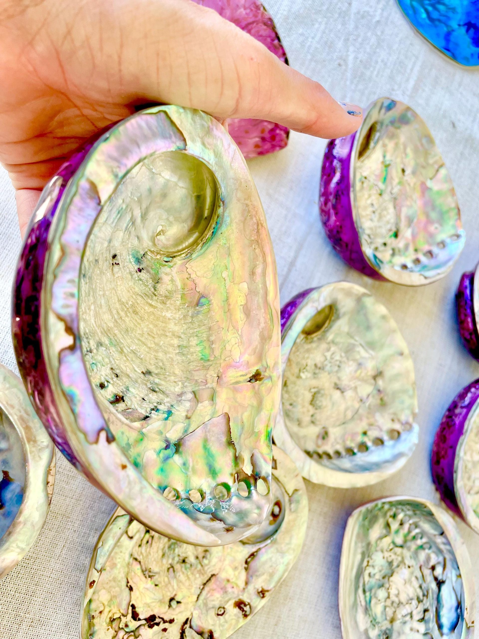 Purple Abalone Shell 5.5-6": High Gloss Iridescent Coastal Décor - Image 9