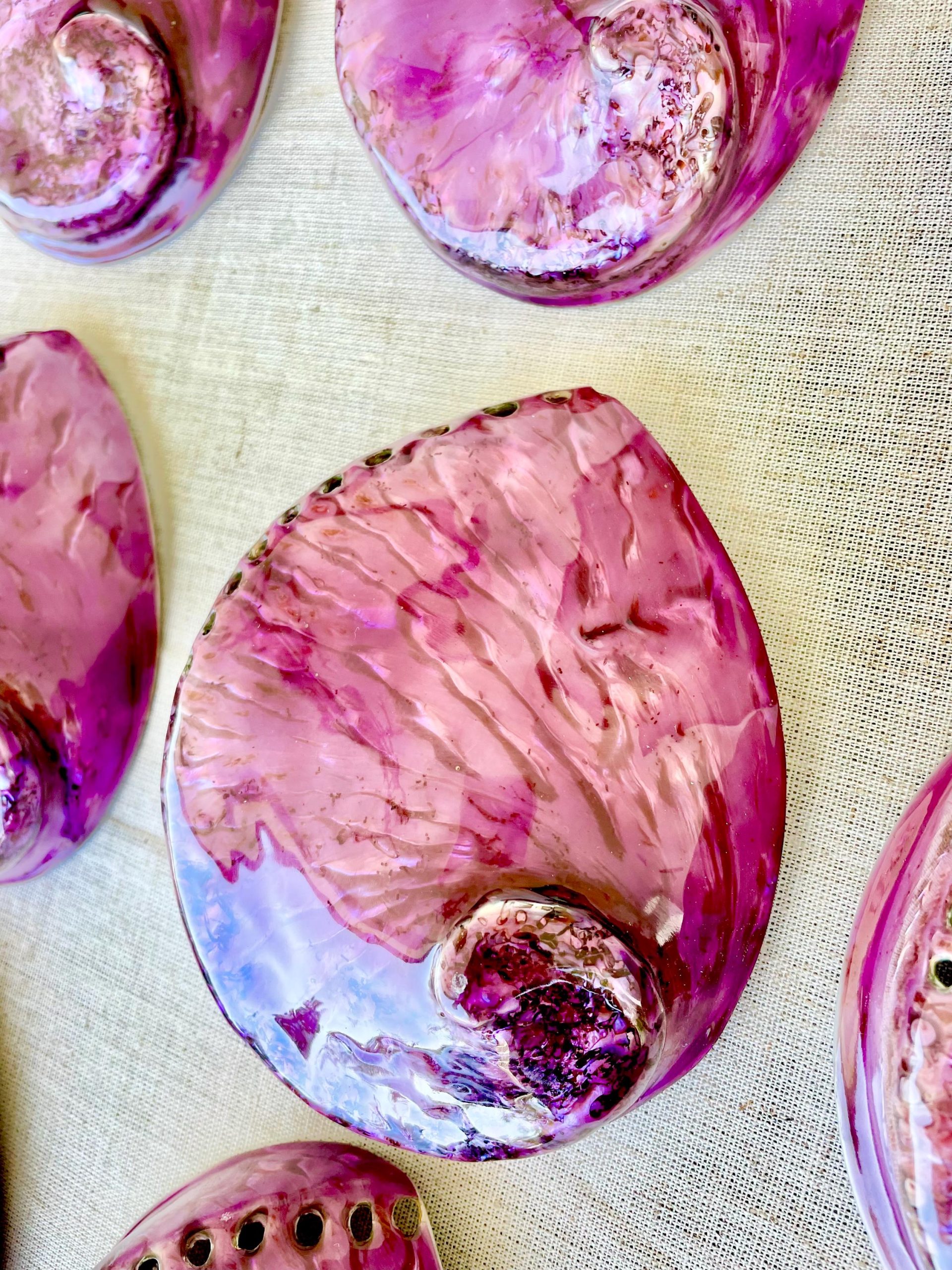 Purple Abalone Shell 5.5-6": High Gloss Iridescent Coastal Décor - Image 8