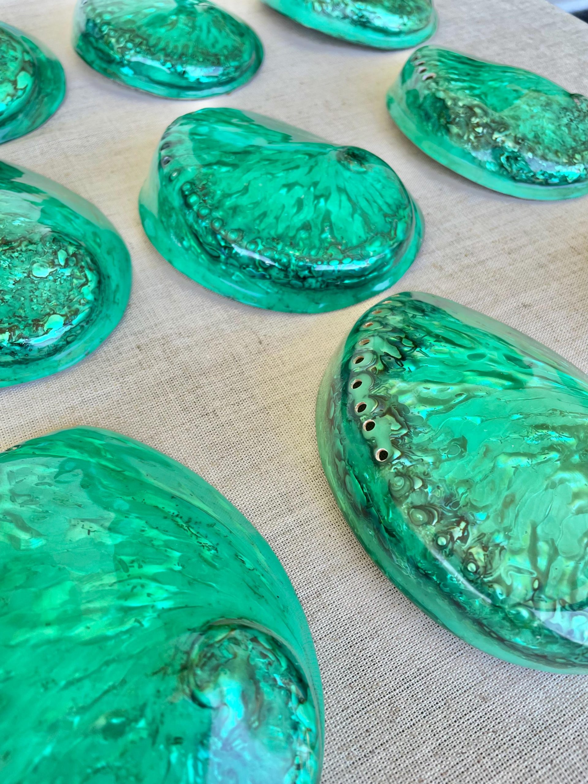 Green Abalone Seashell: XL 5.5-6" Iridescent Coastal Décor, Sage Dish - Image 4