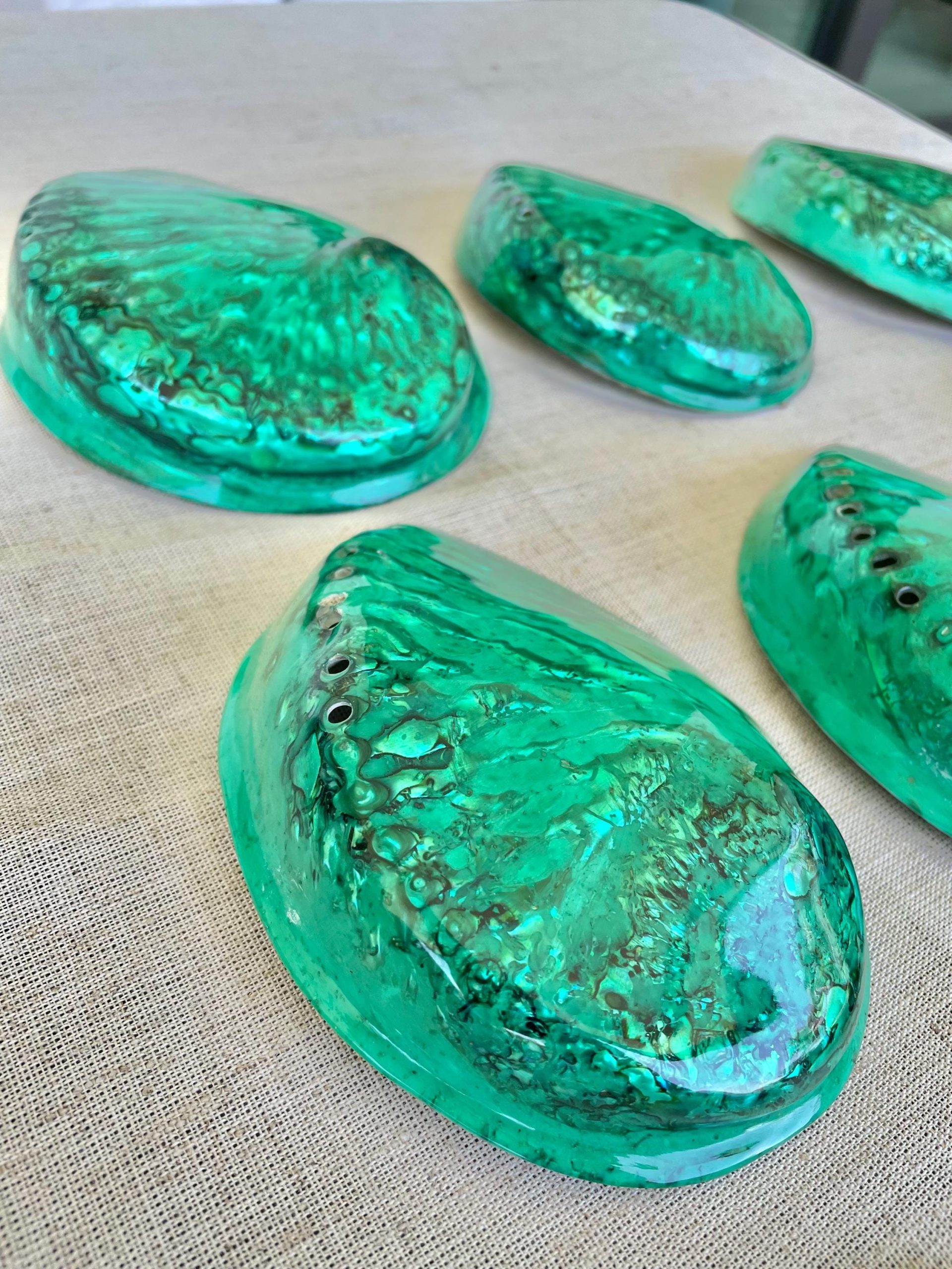 Green Abalone Seashell: XL 5.5-6" Iridescent Coastal Décor, Sage Dish - Image 5