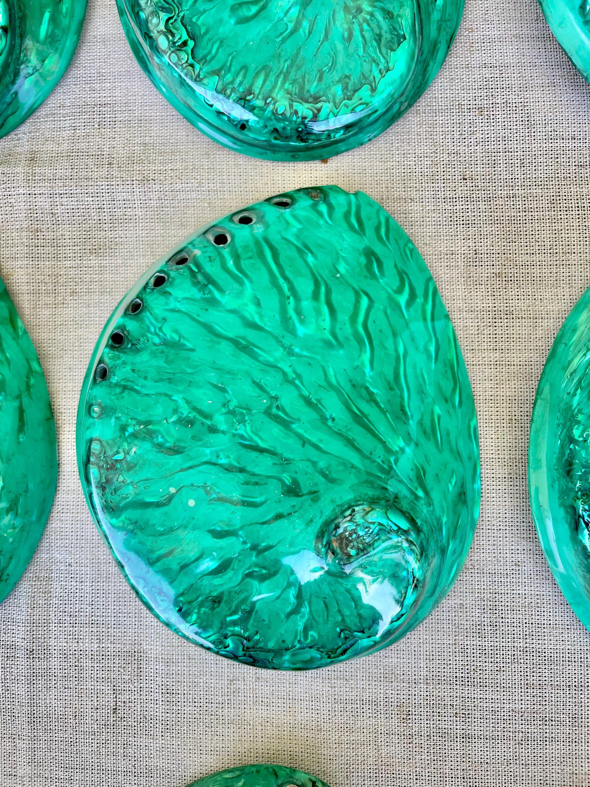 Green Abalone Seashell: XL 5.5-6" Iridescent Coastal Décor, Sage Dish - Image 7