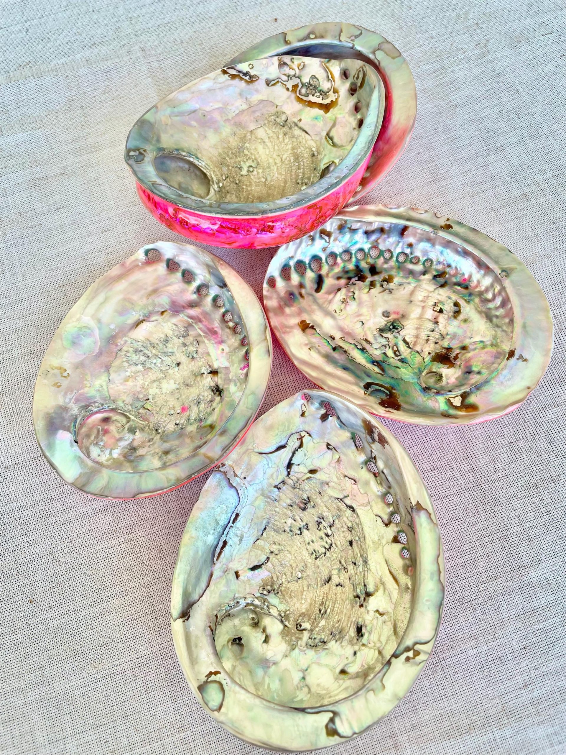 Polished Hot Pink Abalone Shell - Iridescent Coastal Decor (5.5-6") - Image 7
