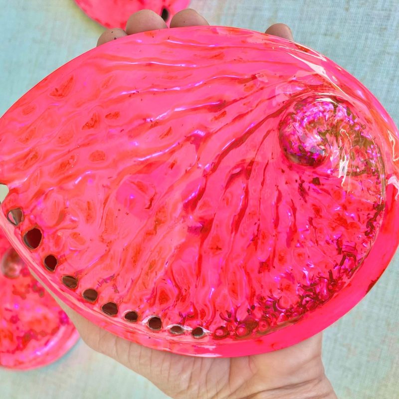 Polished Hot Pink Abalone Shell - Iridescent Coastal Decor (5.5-6")