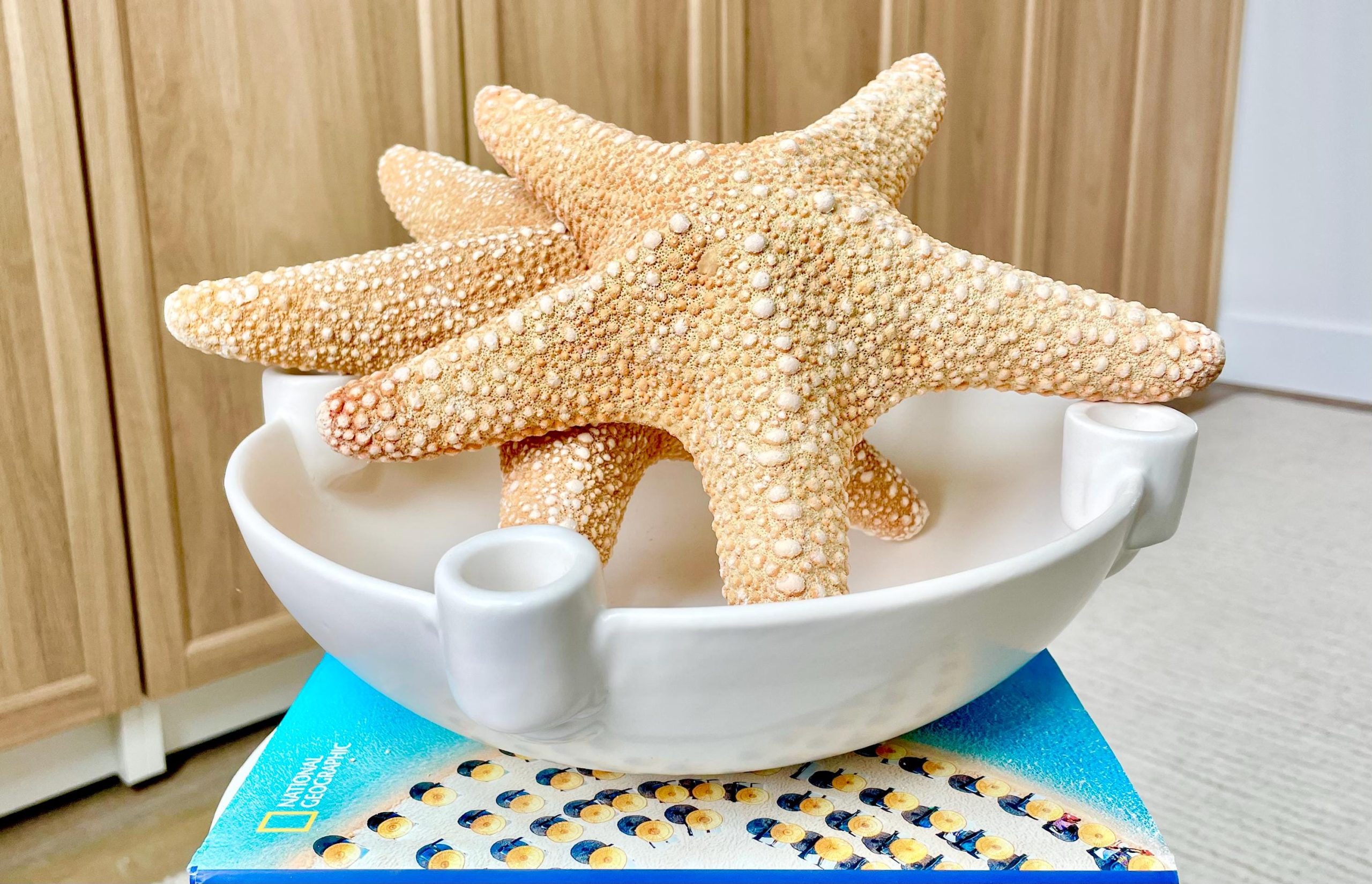 Jungle Starfish 9-10" Natural Orange Sea Star Coastal Décor - Image 9