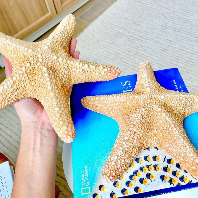 Jungle Starfish 9-10" Natural Orange Sea Star Coastal Décor