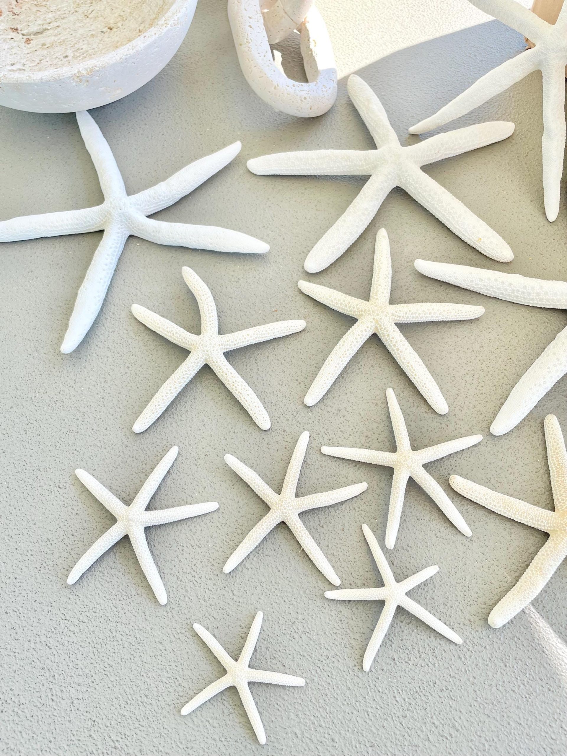 White Pencil Starfish 2-11" *You Choose Size* Natural Beach Coastal Décor & Crafts - Image 3