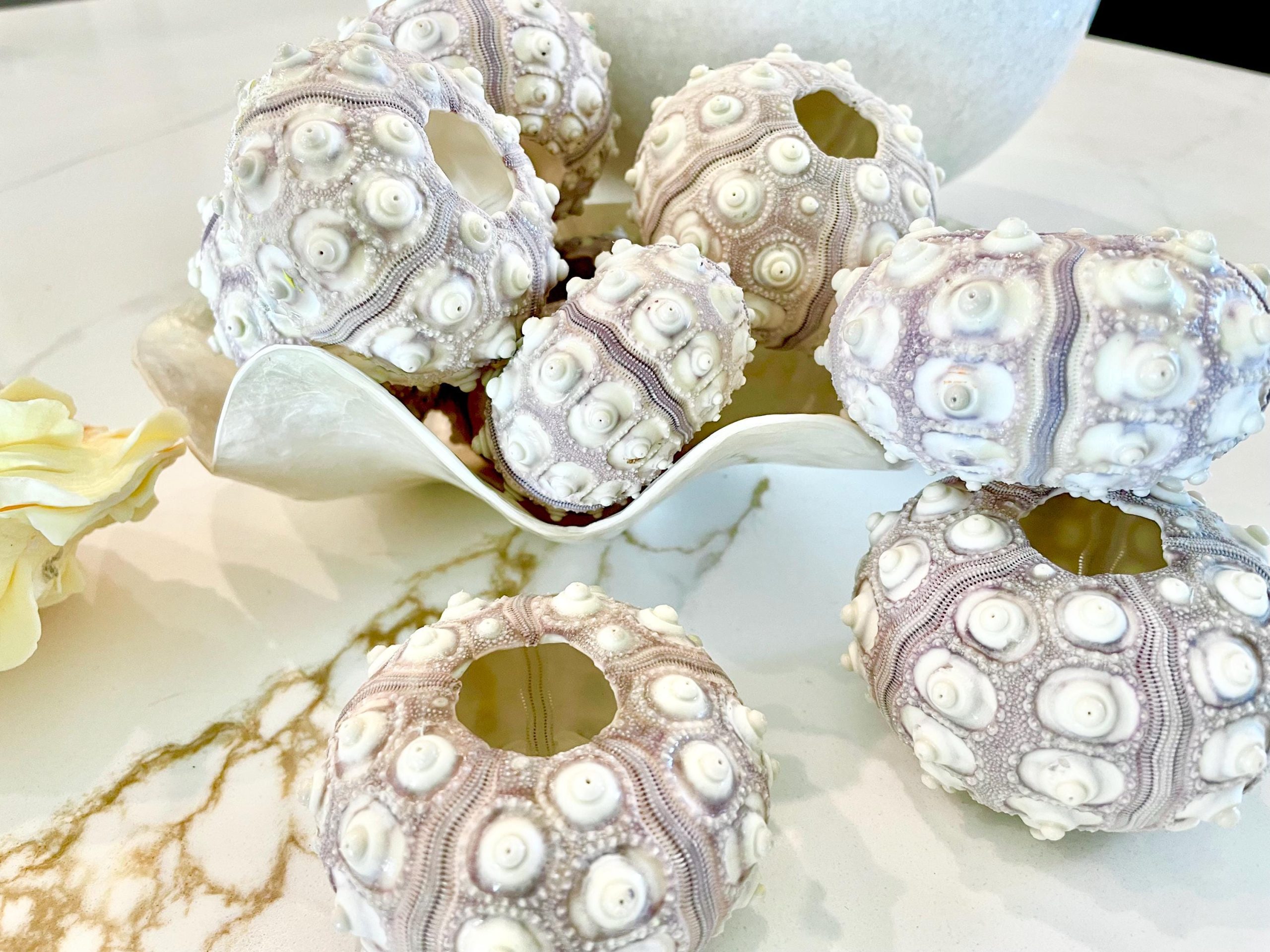Sputnik Sea Urchin Shells 2-3" | Natural Purple White Coastal Decor - Image 2
