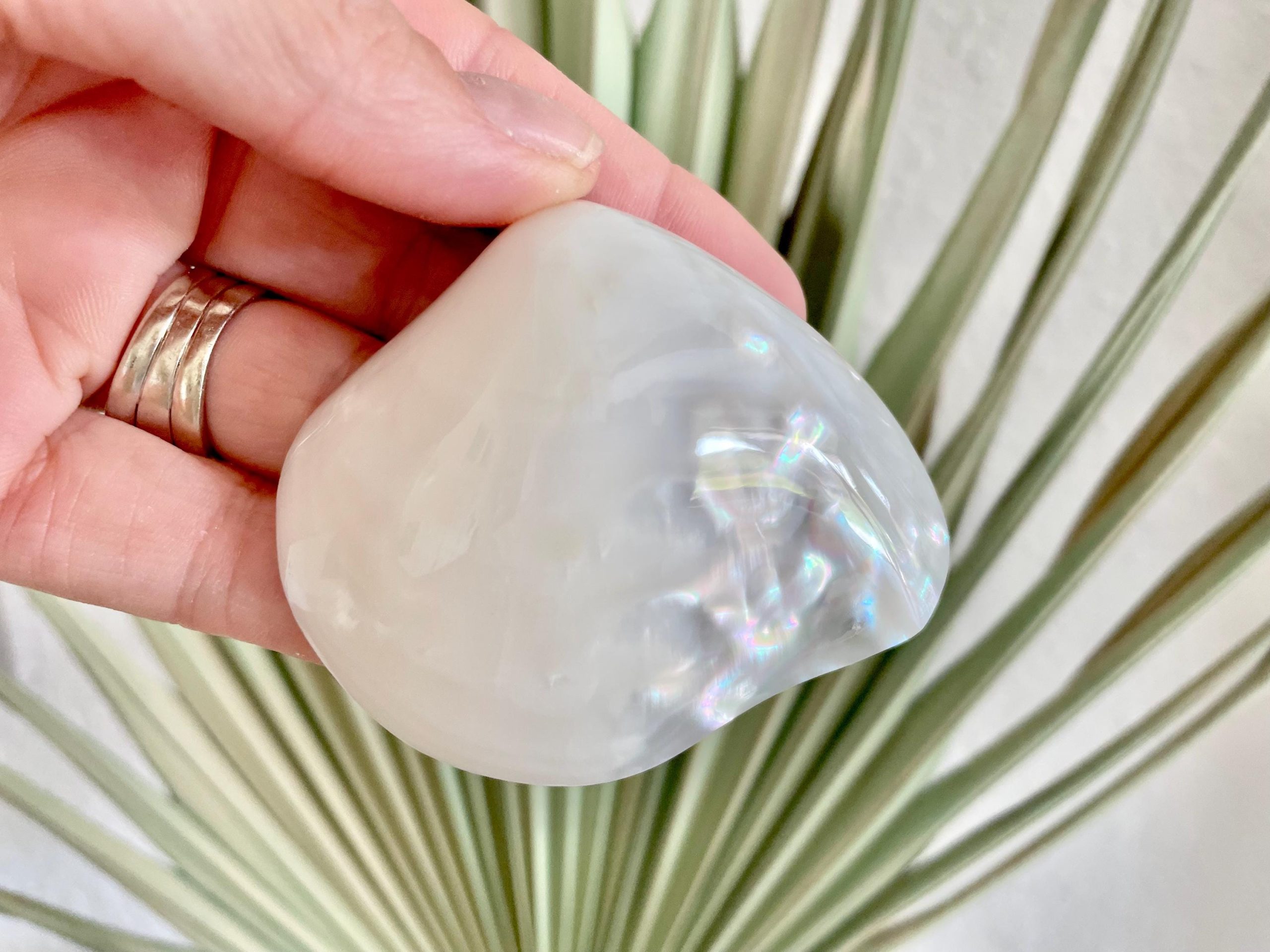 POLISHED CLAM PEARLS 1.5-3" Fresh Water Half Shells Jewelry Making Supply Craft Seashell - Image 4