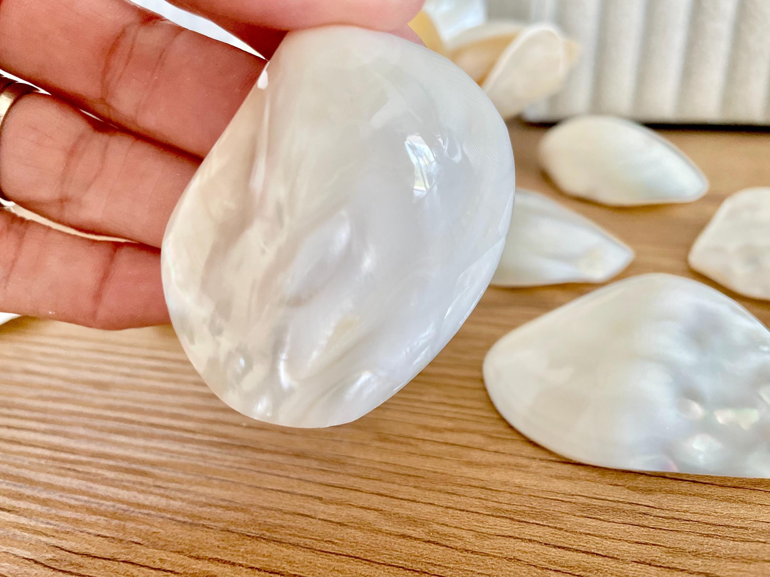 POLISHED CLAM PEARLS 1.5-3" Fresh Water Half Shells Jewelry Making Supply Craft Seashell - Image 7