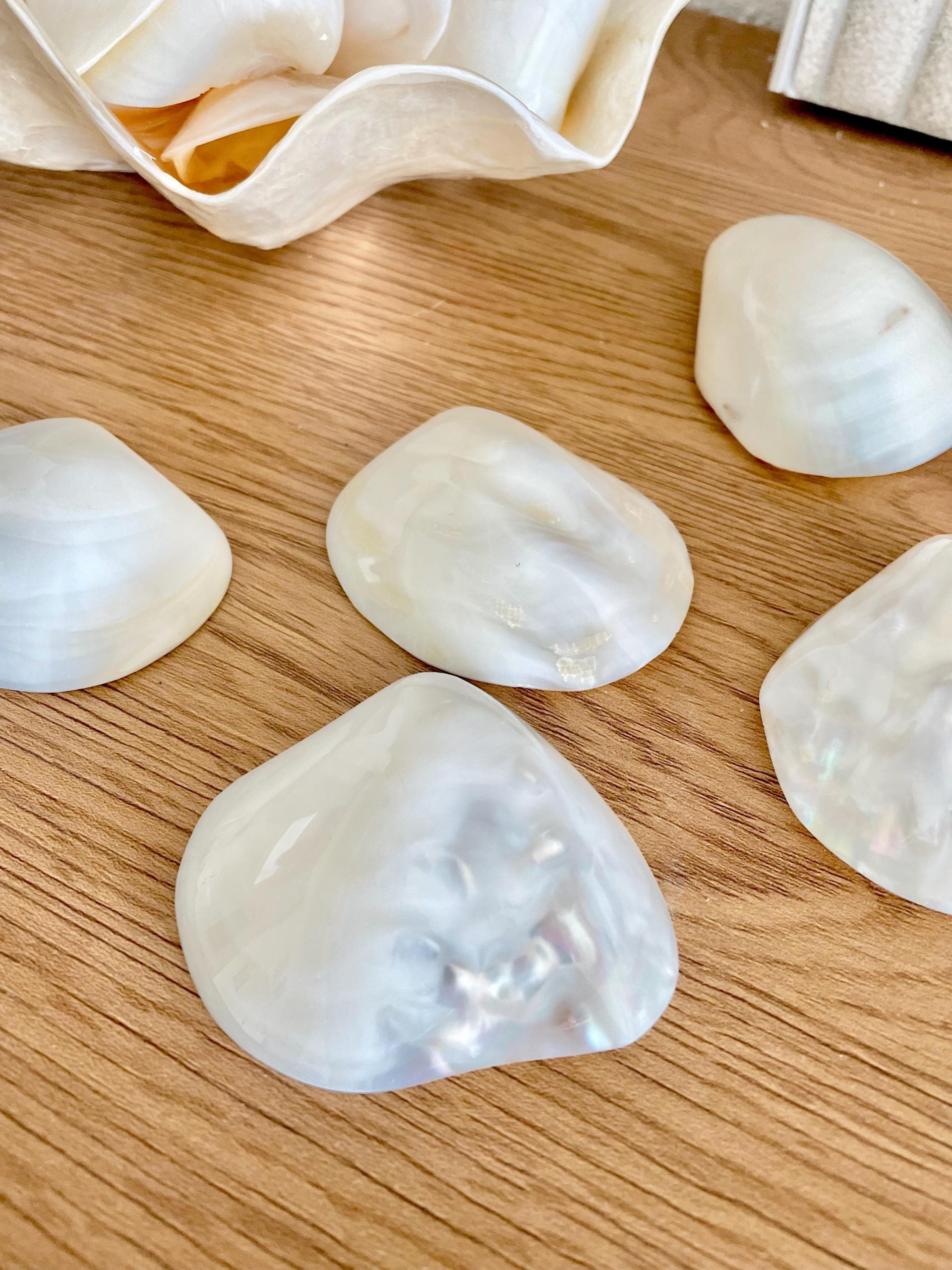 POLISHED CLAM PEARLS 1.5-3" Fresh Water Half Shells Jewelry Making Supply Craft Seashell - Image 12