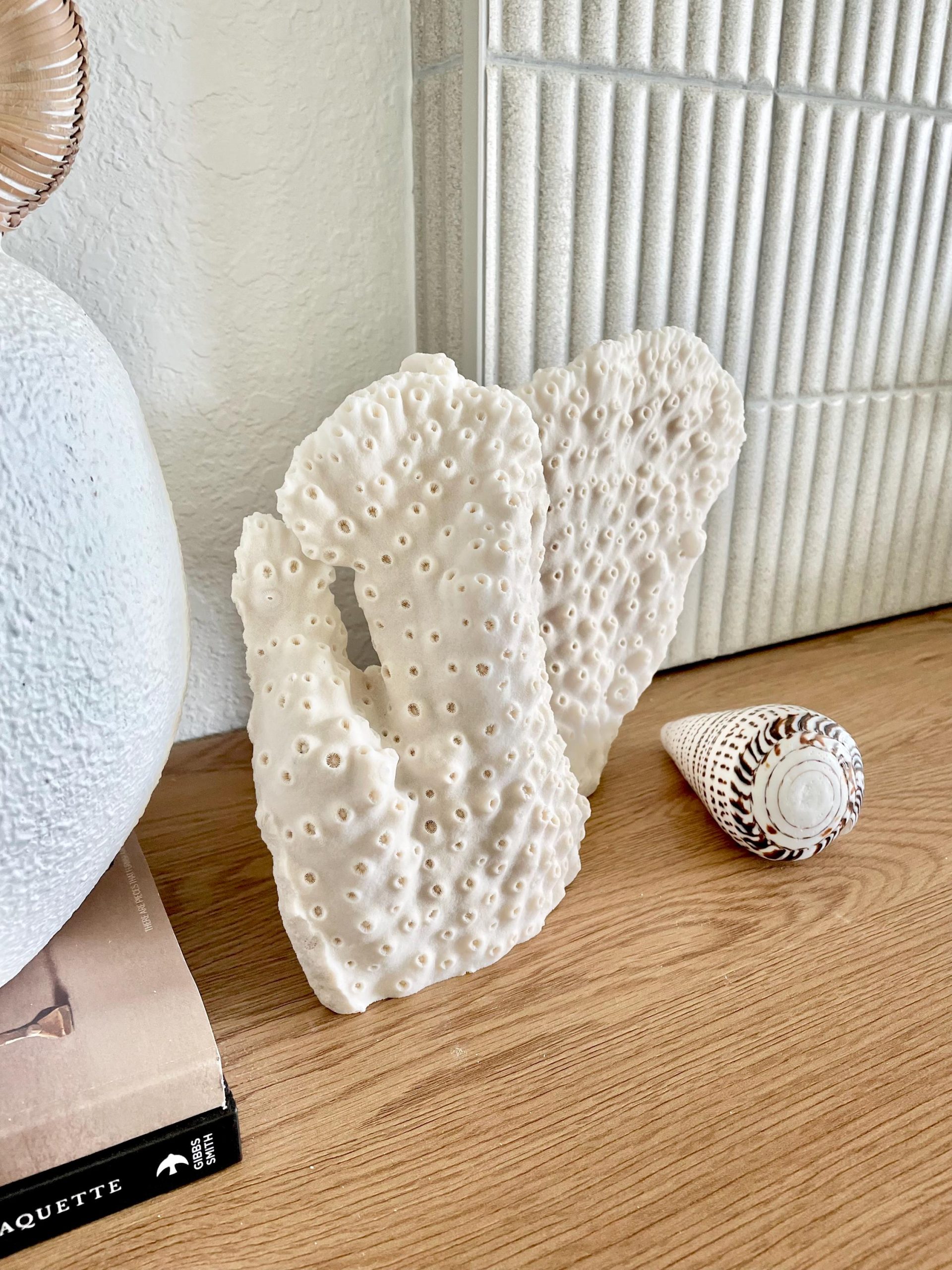 Natural Black Cup Coral Fossil: 13x9x3.5 Coastal Beach Home Décor - Image 10