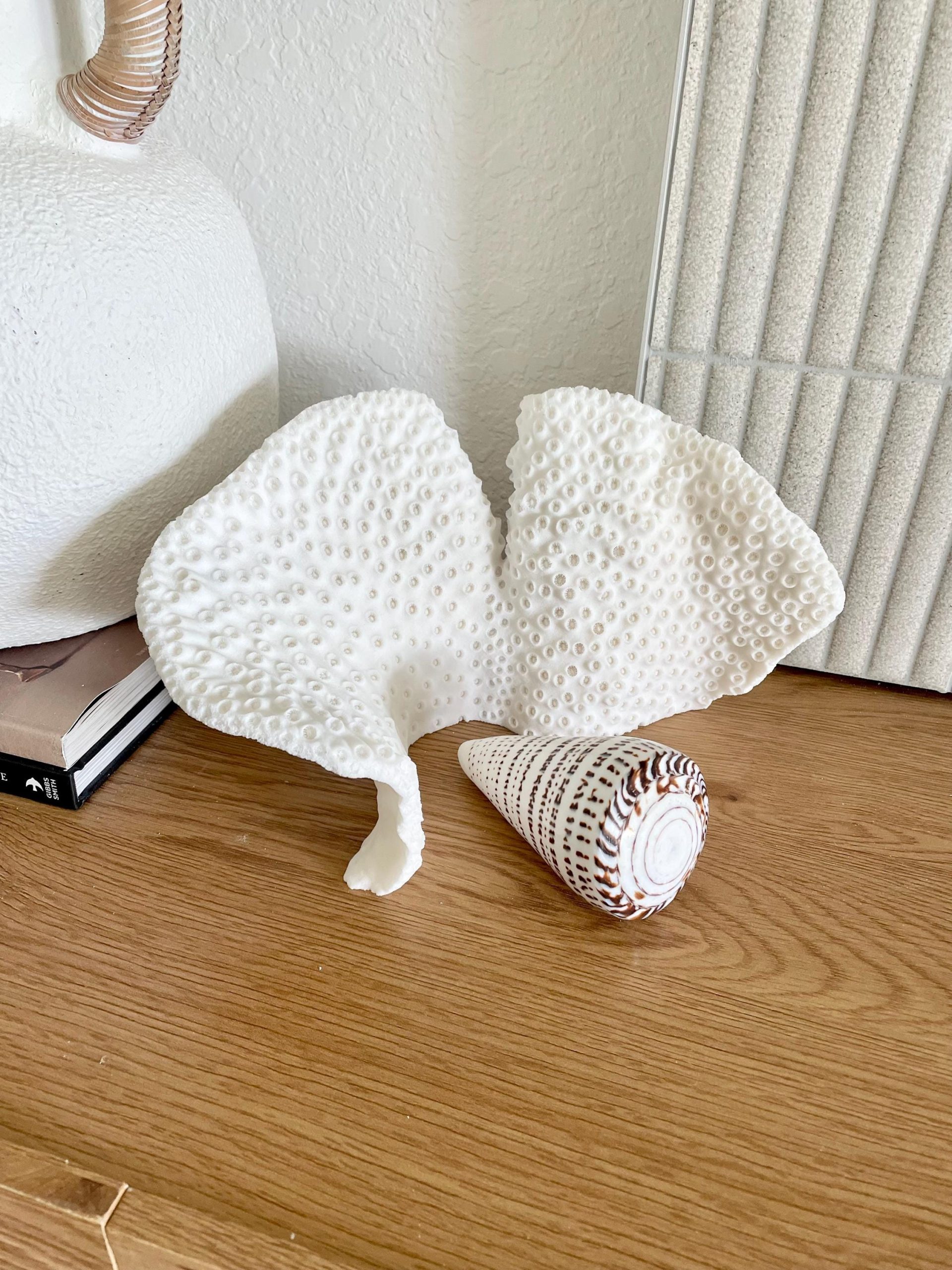 Natural Black Cup Coral Fossil: 11"x6"x6" Coastal Beach Home Decor - Image 4