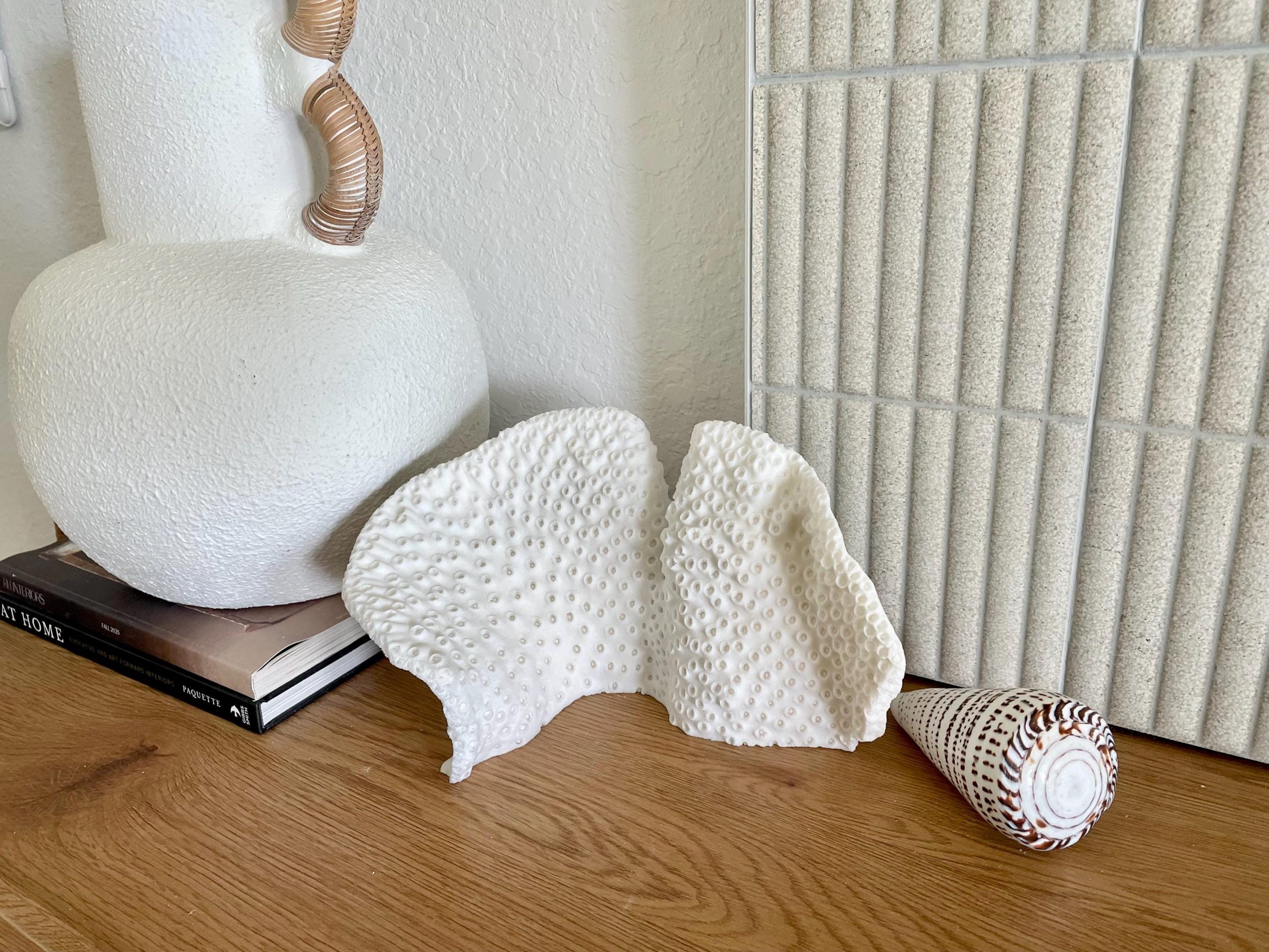 Natural Black Cup Coral Fossil: 11"x6"x6" Coastal Beach Home Decor - Image 15