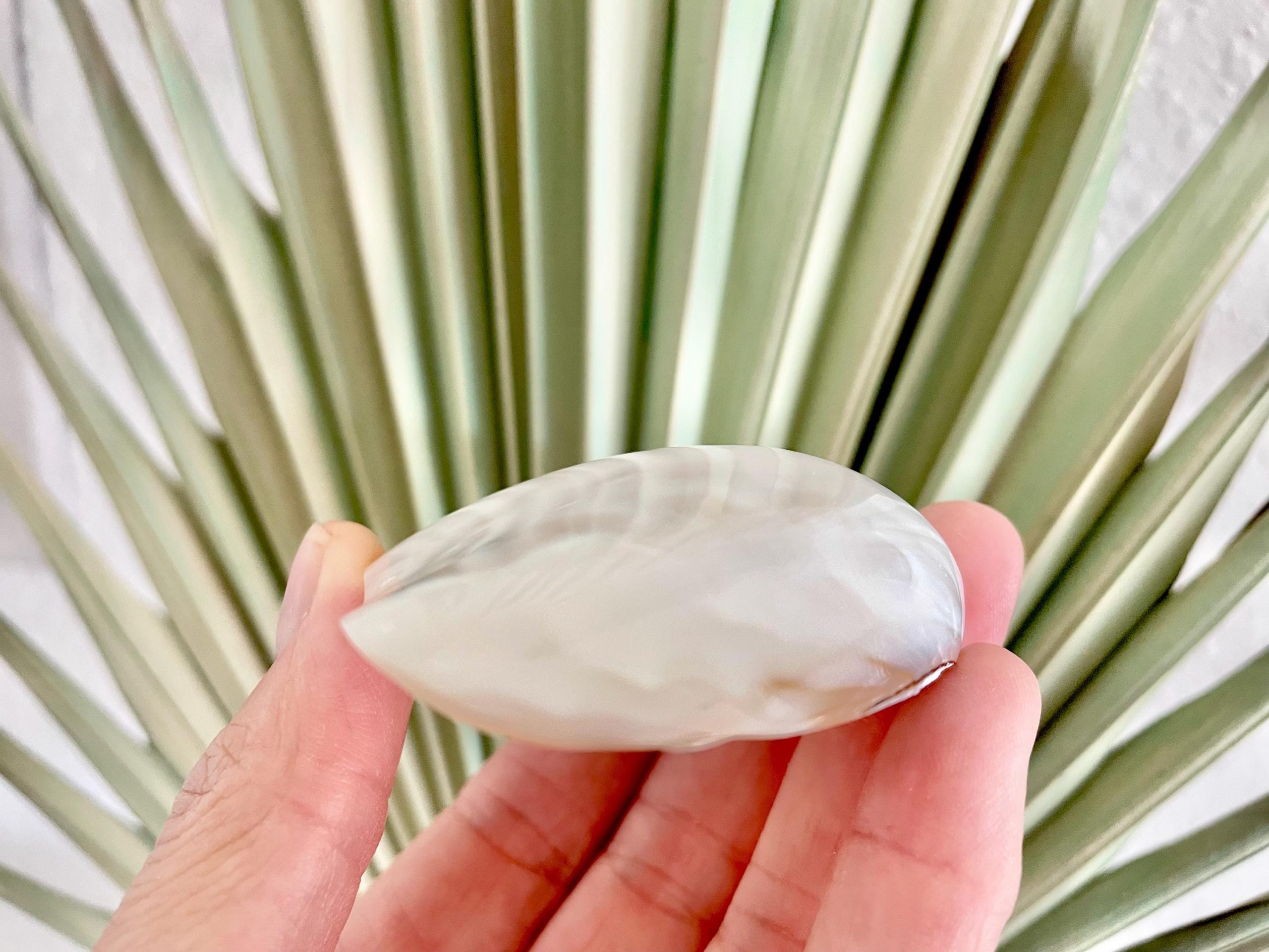 POLISHED CLAM PEARLS 1.5-3" Fresh Water Half Shells Jewelry Making Supply Craft Seashell - Image 3