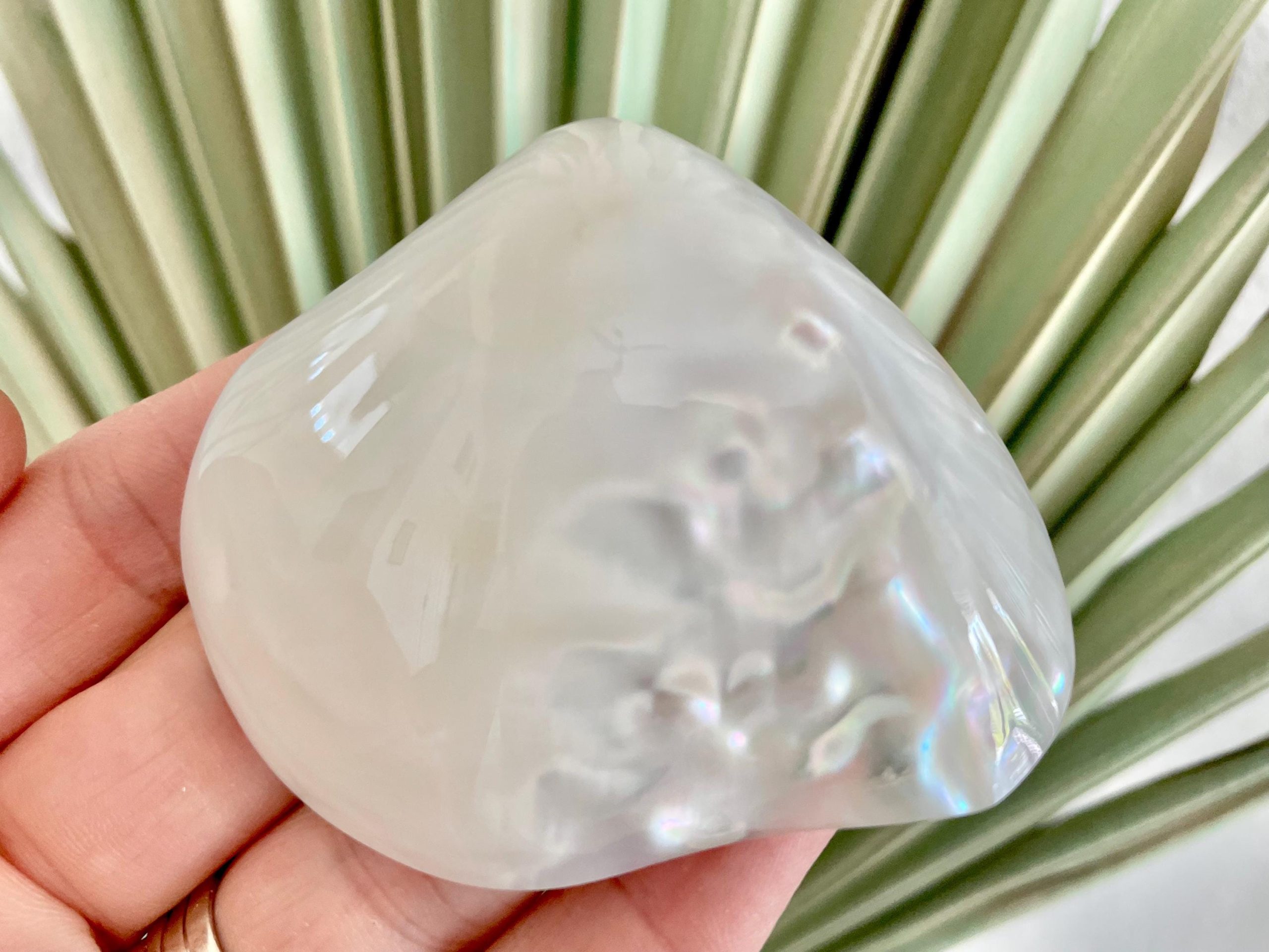 POLISHED CLAM PEARLS 1.5-3" Fresh Water Half Shells Jewelry Making Supply Craft Seashell