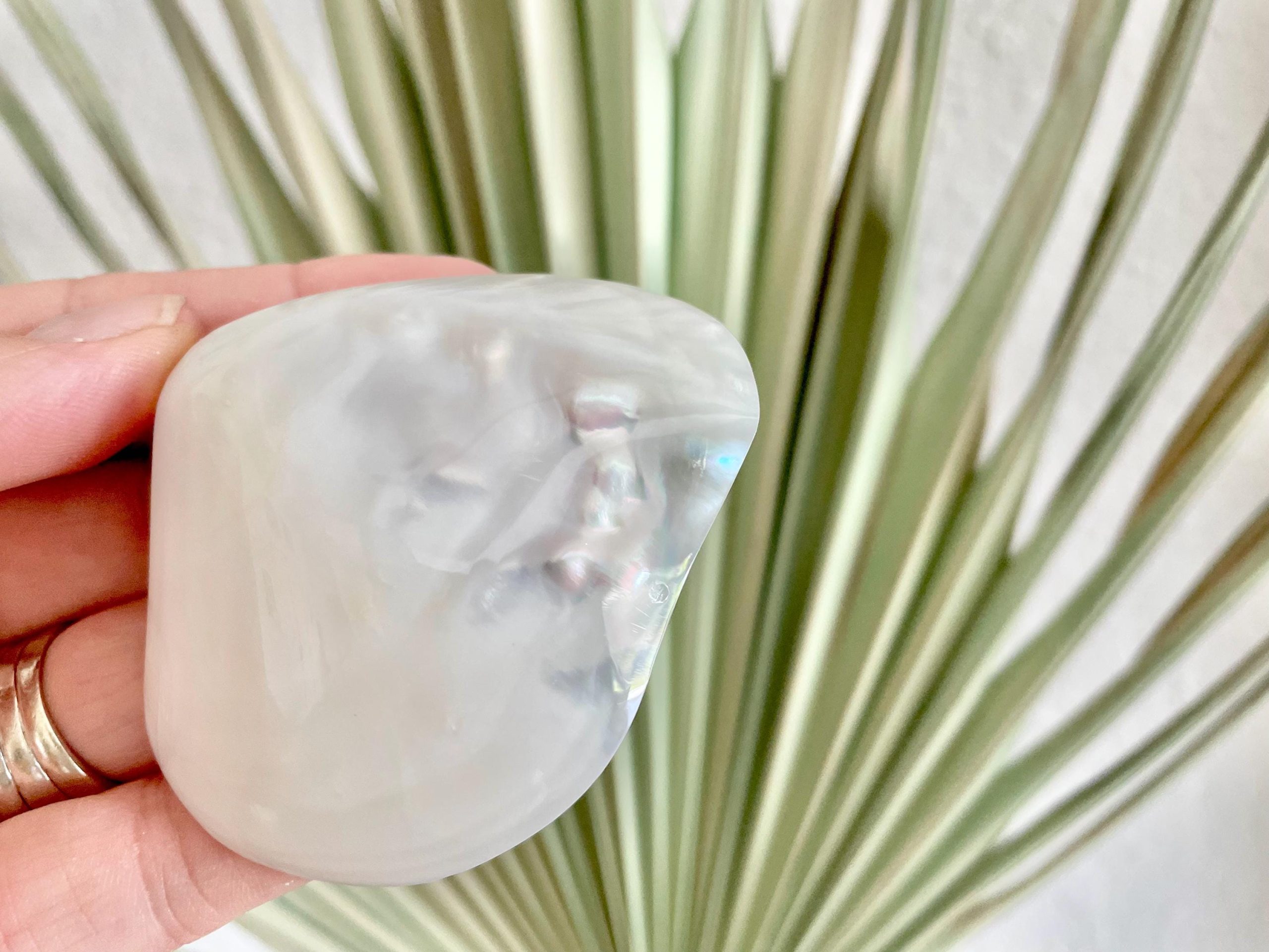 POLISHED CLAM PEARLS 1.5-3" Fresh Water Half Shells Jewelry Making Supply Craft Seashell - Image 5