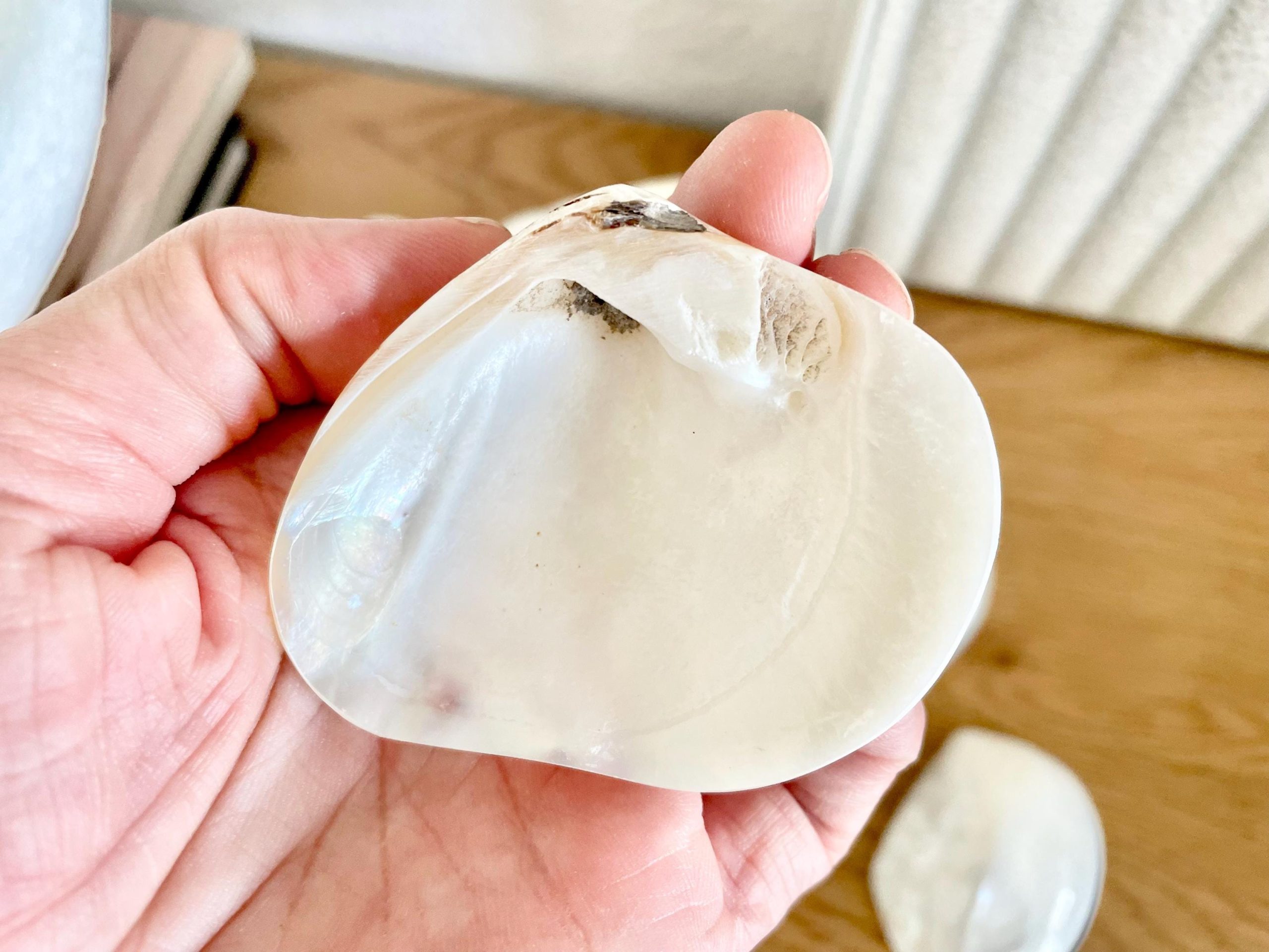 POLISHED CLAM PEARLS 1.5-3" Fresh Water Half Shells Jewelry Making Supply Craft Seashell - Image 8