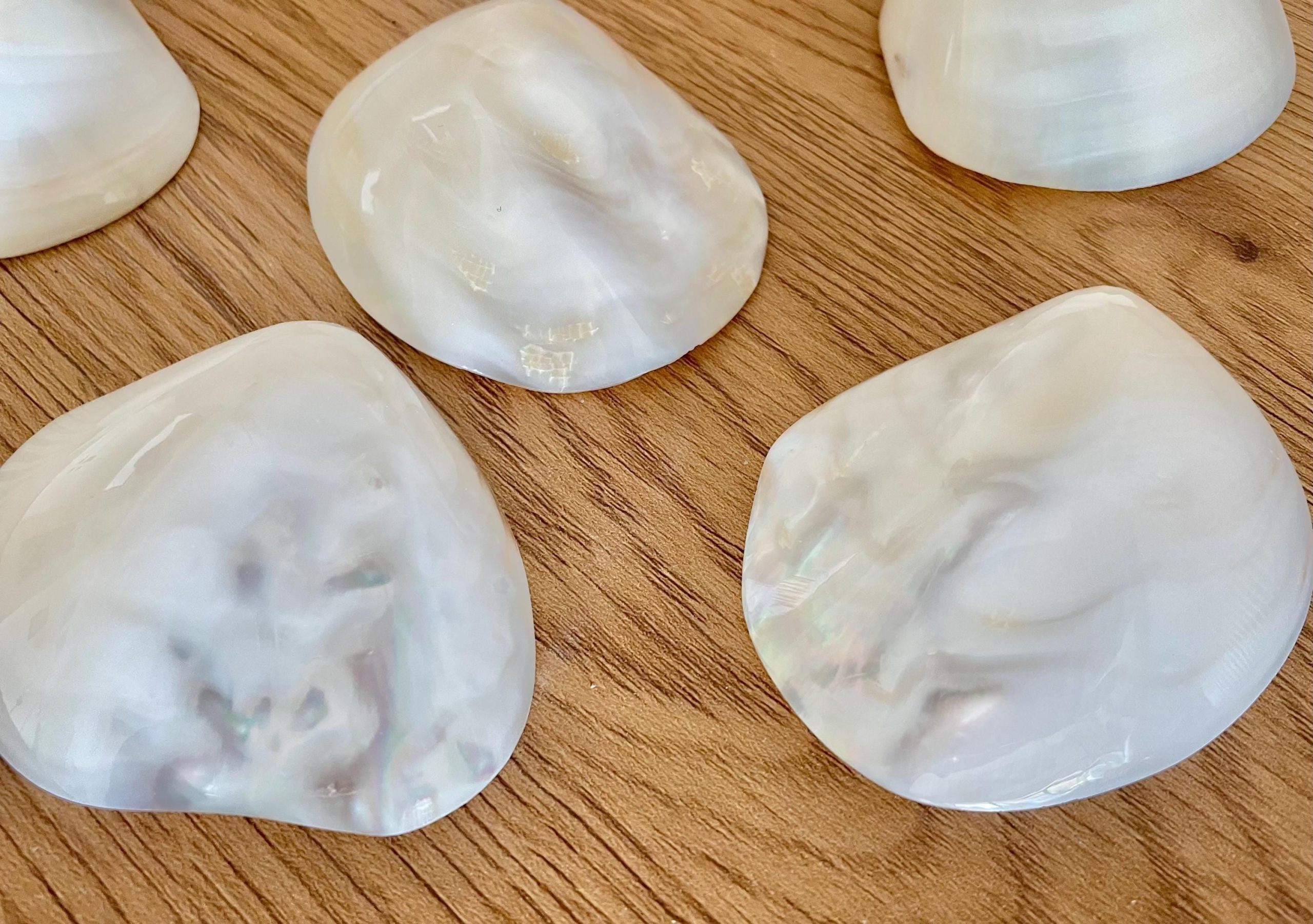 POLISHED CLAM PEARLS 1.5-3" Fresh Water Half Shells Jewelry Making Supply Craft Seashell - Image 11