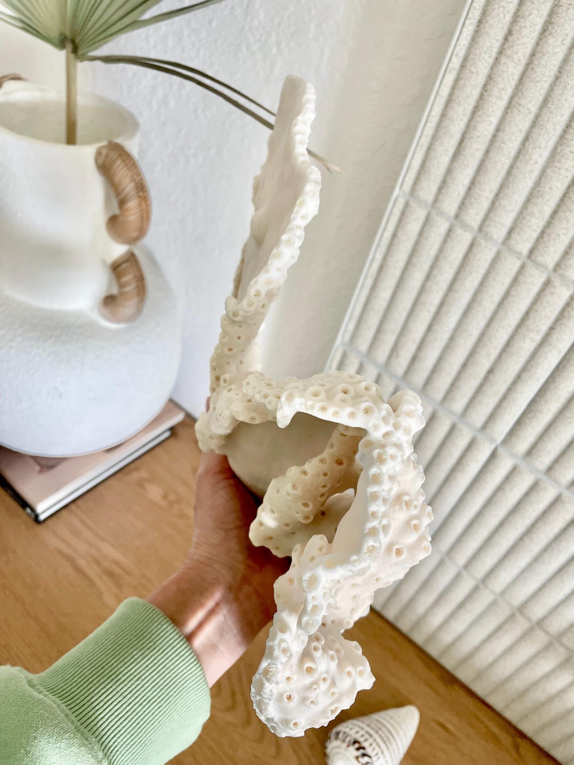 Natural Black Cup Coral Fossil: 13x9x3.5 Coastal Beach Home Décor - Image 7