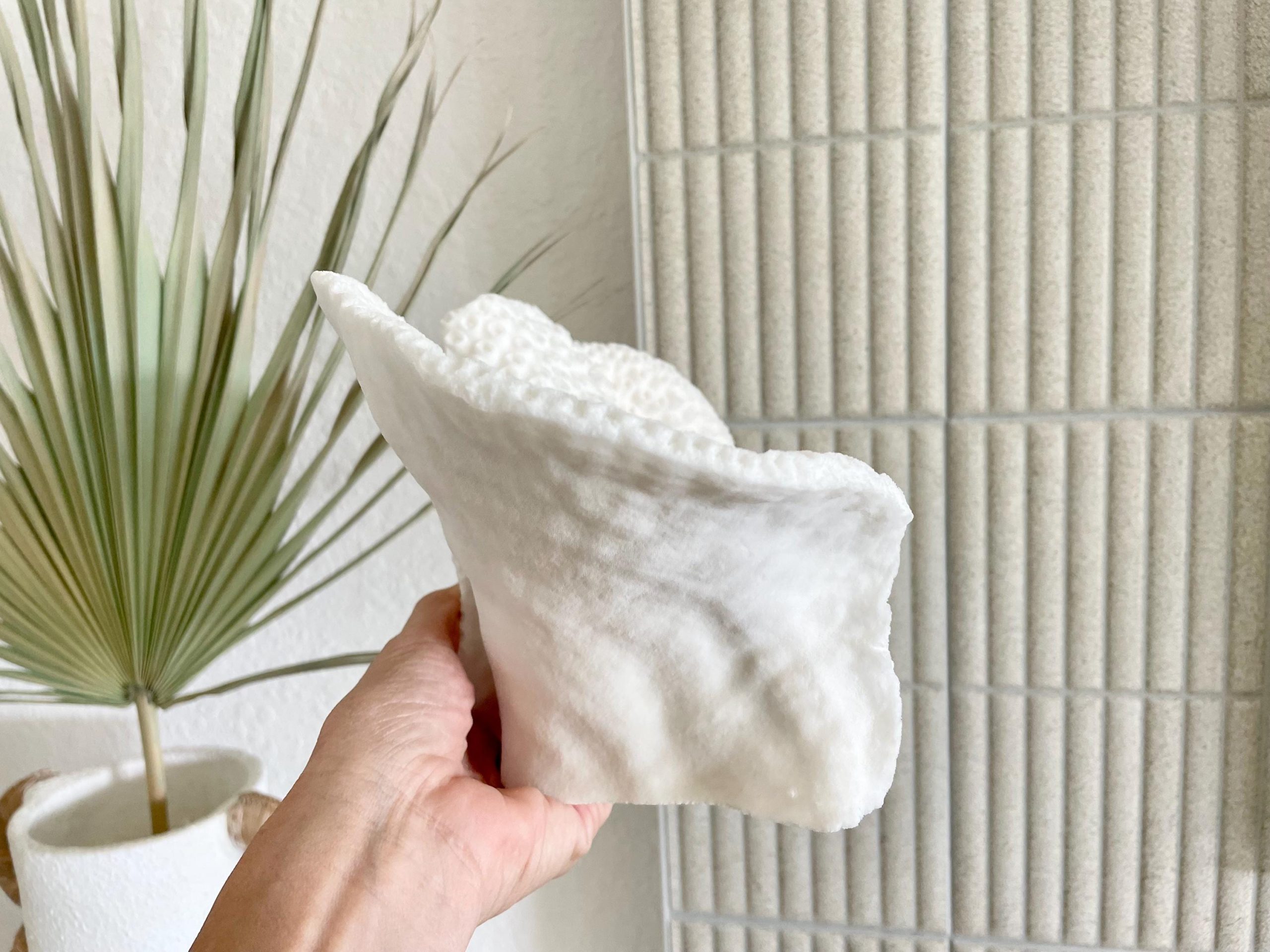 Natural Black Cup Coral Fossil: 11"x6"x6" Coastal Beach Home Decor - Image 11