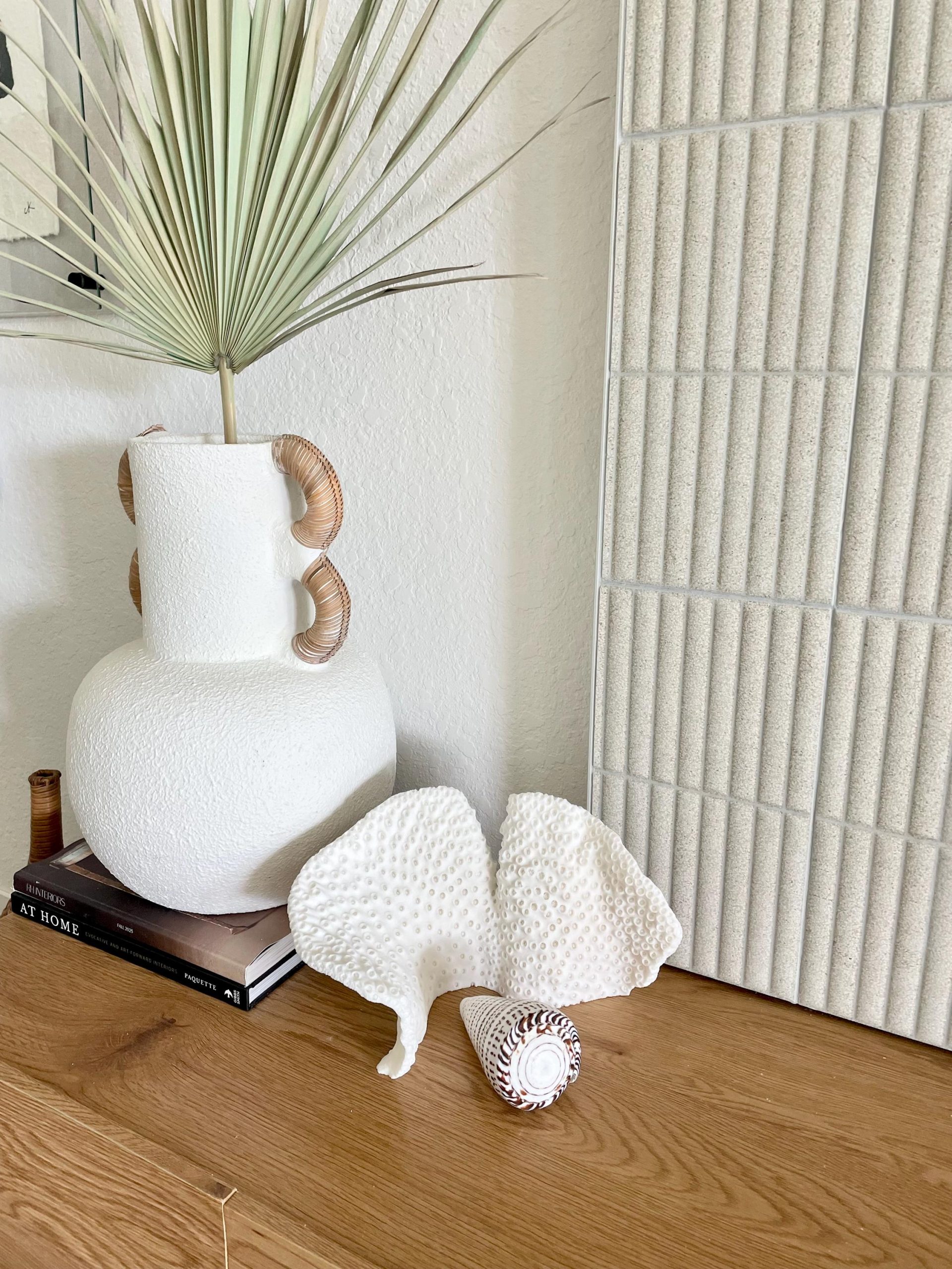 Natural Black Cup Coral Fossil: 11"x6"x6" Coastal Beach Home Decor - Image 12