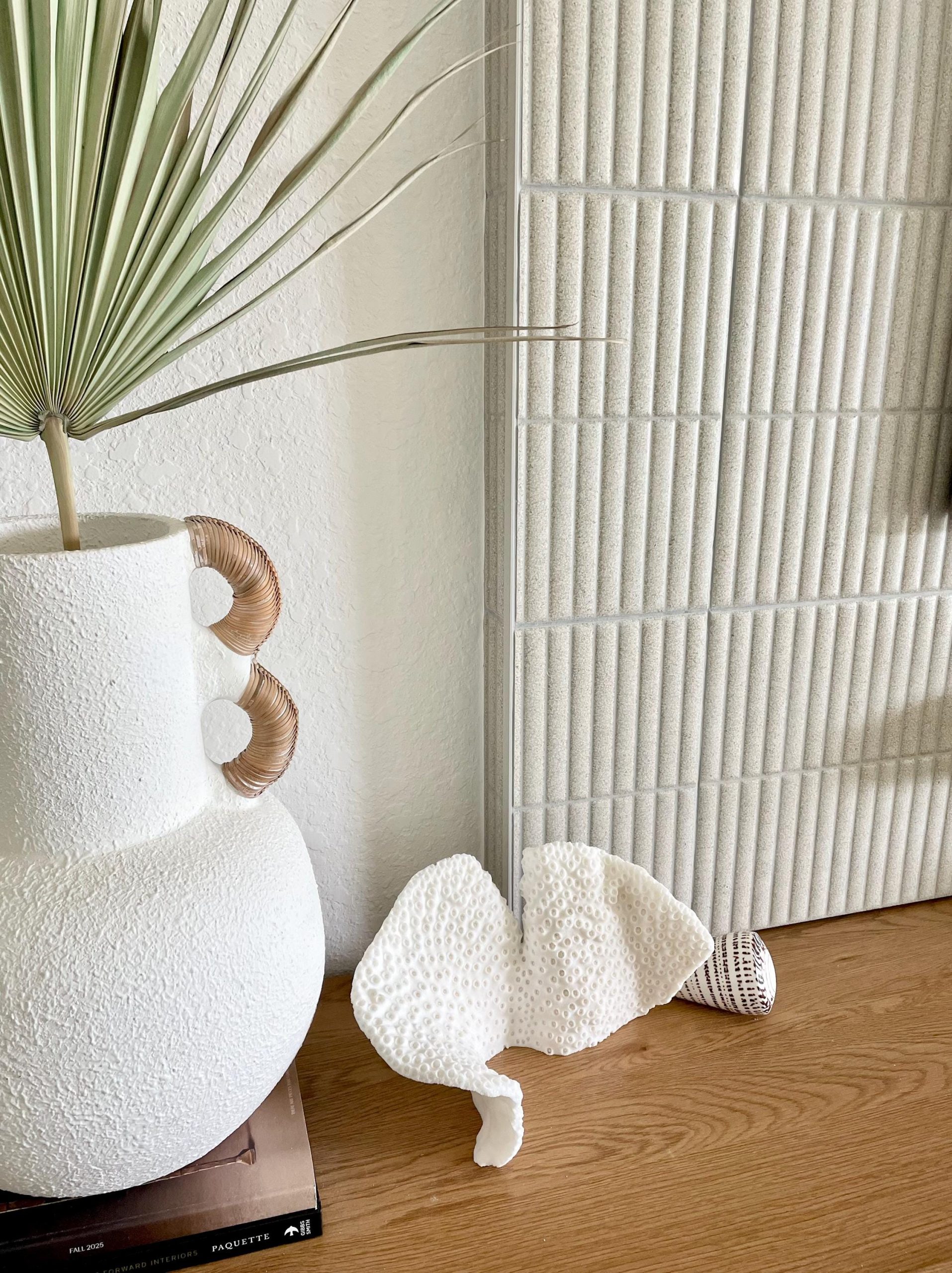 Natural Black Cup Coral Fossil: 11"x6"x6" Coastal Beach Home Decor - Image 3