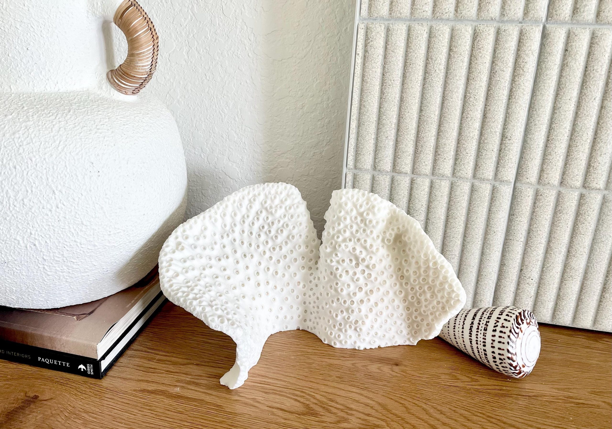 Natural Black Cup Coral Fossil: 11"x6"x6" Coastal Beach Home Decor - Image 6