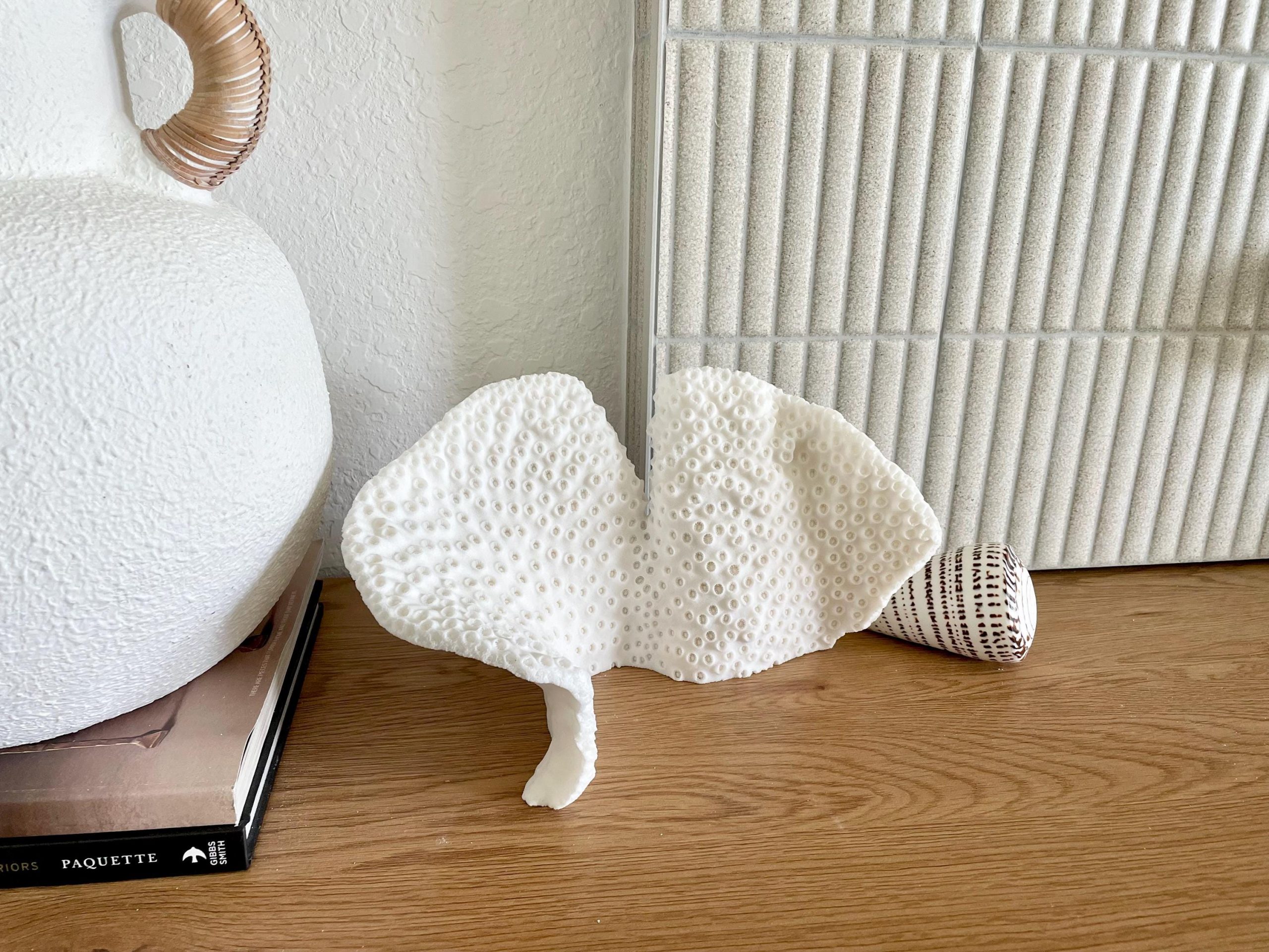 Natural Black Cup Coral Fossil: 11"x6"x6" Coastal Beach Home Decor - Image 7