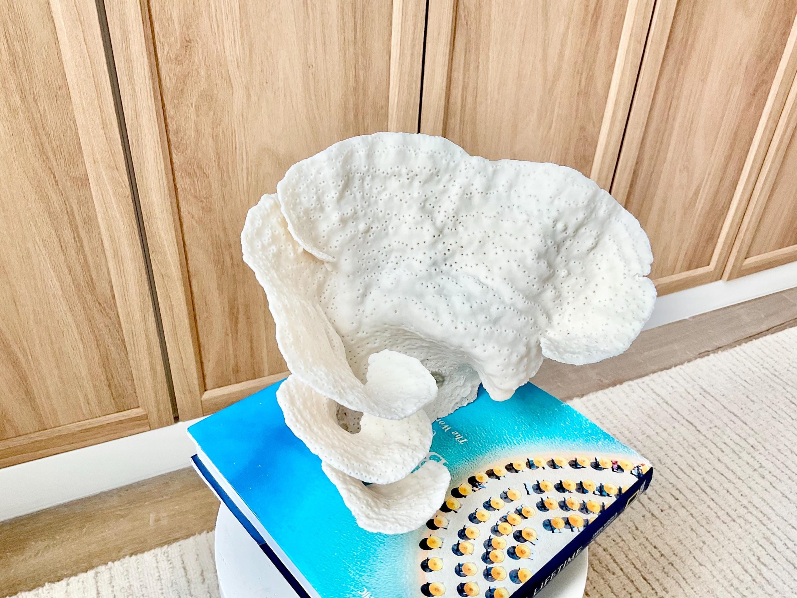 Natural Cup Coral Fossil Specimen: 9" x 8"x 7" White Beach House Coastal Décor - Image 3