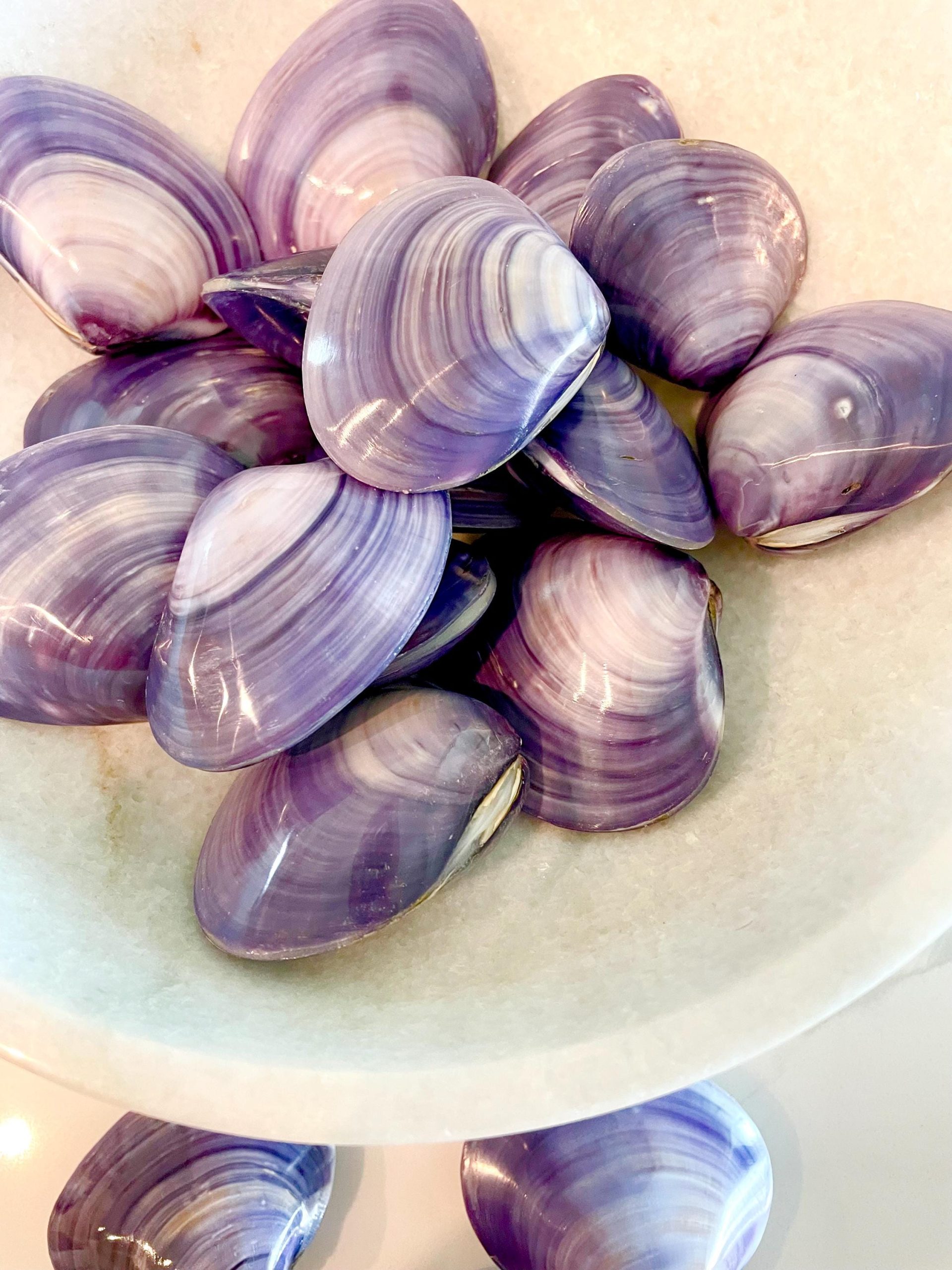 POLISHED PURPLE CLAMS *Set of 3* 2-3" Paired Shells Natural Craft Seashells - Image 14
