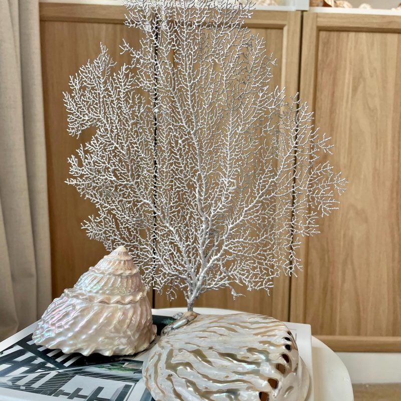 Silver Sea Fan (8-20") *You Choose Size* Natural Hand Painted Coastal Décor