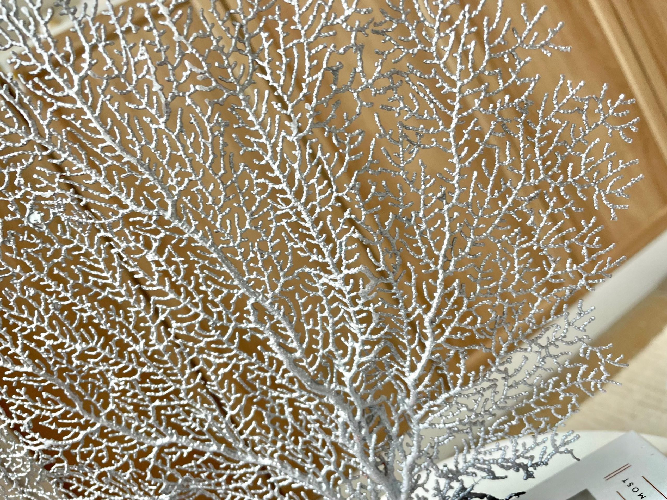 Silver Sea Fan (8-20") *You Choose Size* Natural Hand Painted Coastal Décor - Image 8