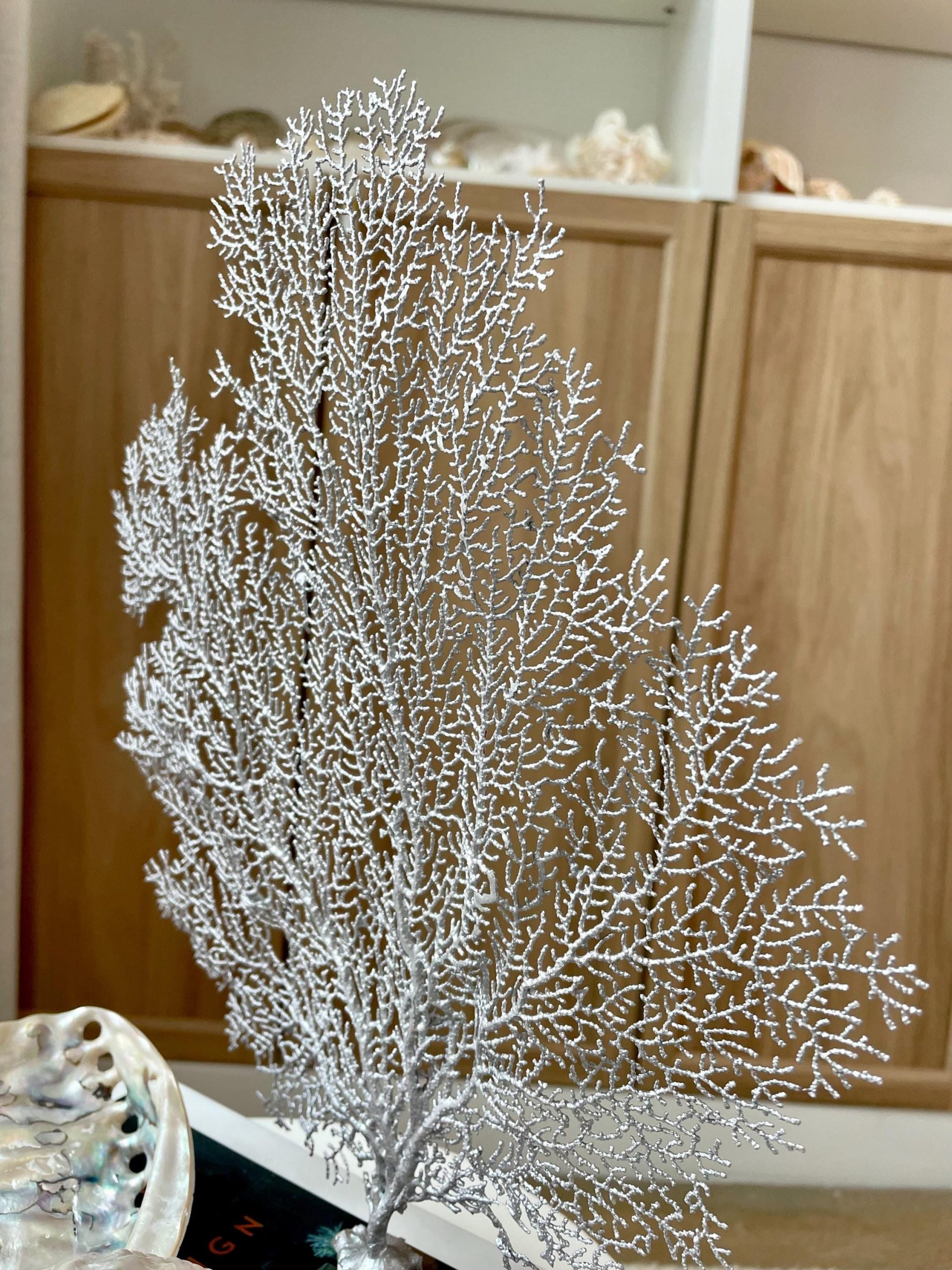 Silver Sea Fan (8-20") *You Choose Size* Natural Hand Painted Coastal Décor - Image 7