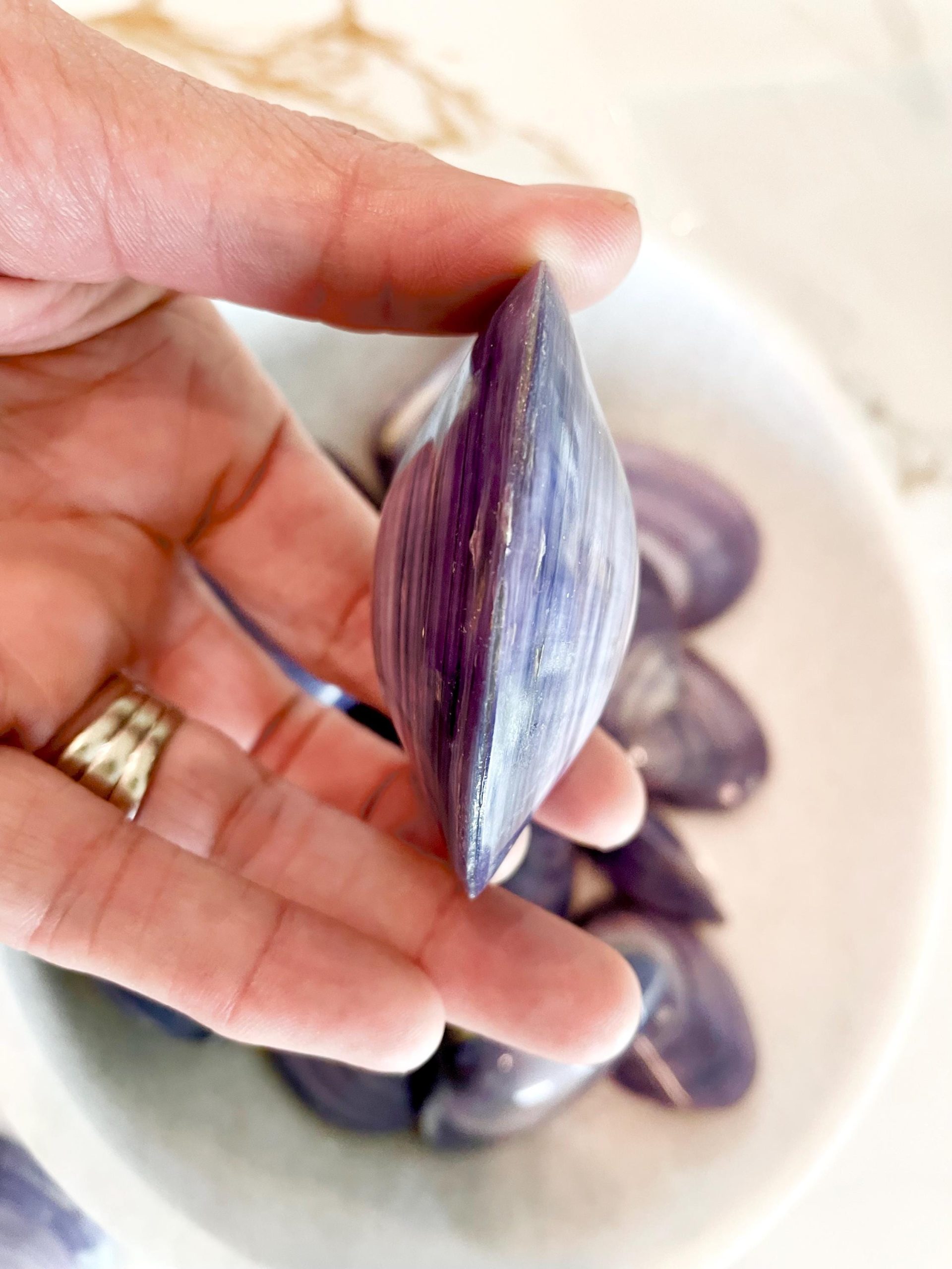 POLISHED PURPLE CLAMS *Set of 3* 2-3" Paired Shells Natural Craft Seashells - Image 8