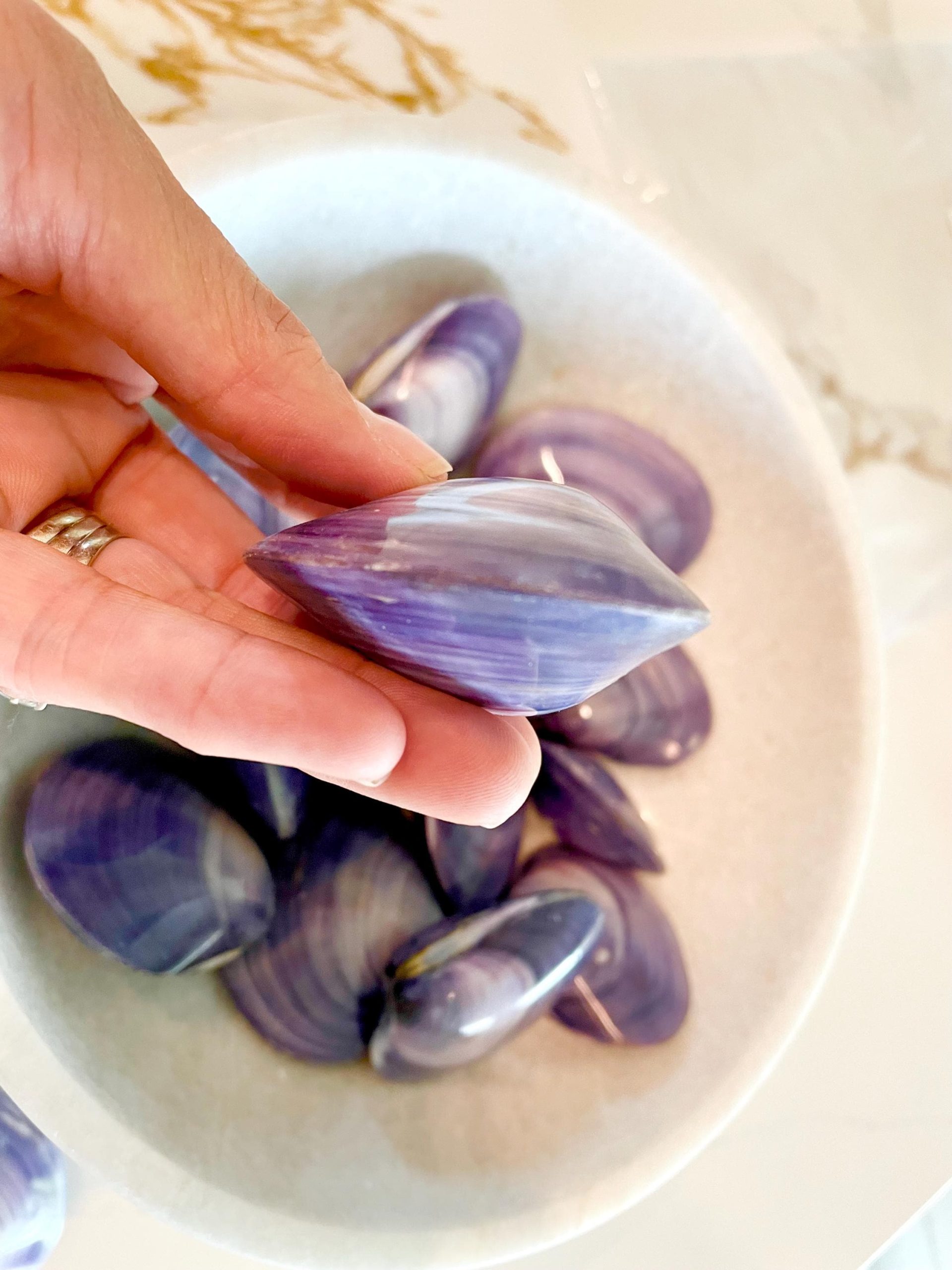 POLISHED PURPLE CLAMS *Set of 3* 2-3" Paired Shells Natural Craft Seashells - Image 9