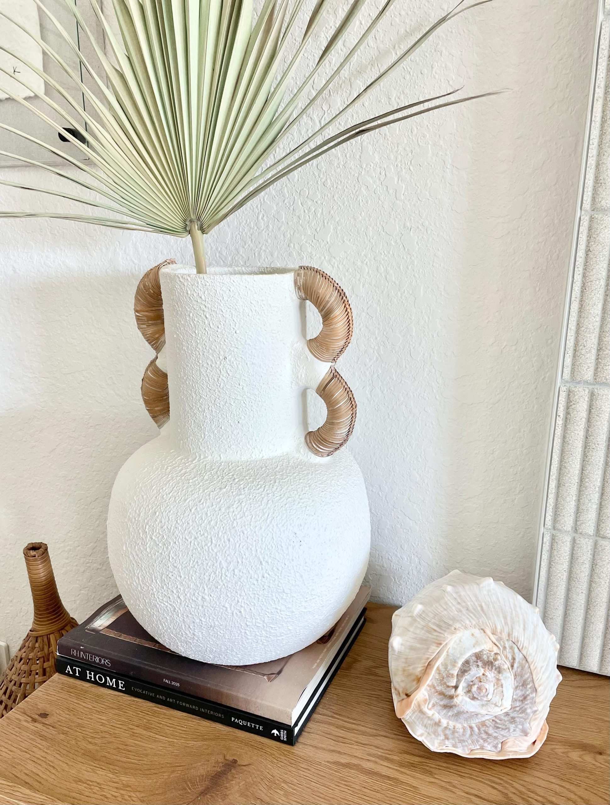 QUEEN HELMET SHELLS *All Sizes* Natural Peach Brown Display Seashells Décor - Image 5