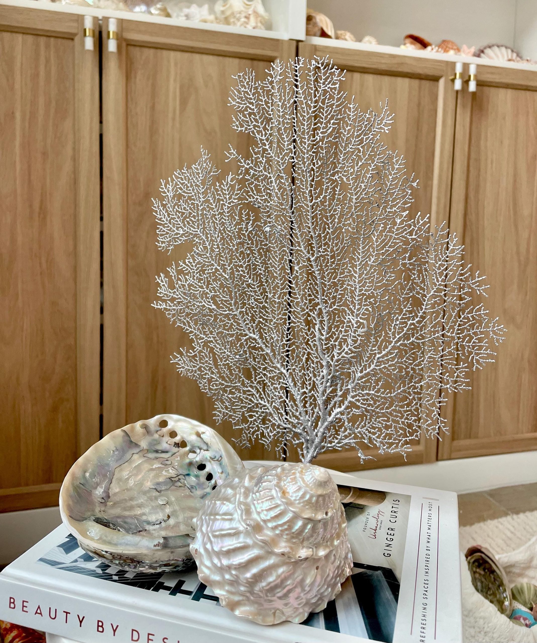 Silver Sea Fan (8-20") *You Choose Size* Natural Hand Painted Coastal Décor - Image 5